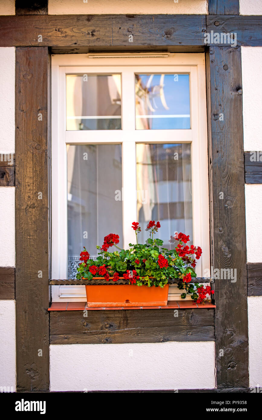 Window with pretty flowers at a frame house Stock Photo - Alamy