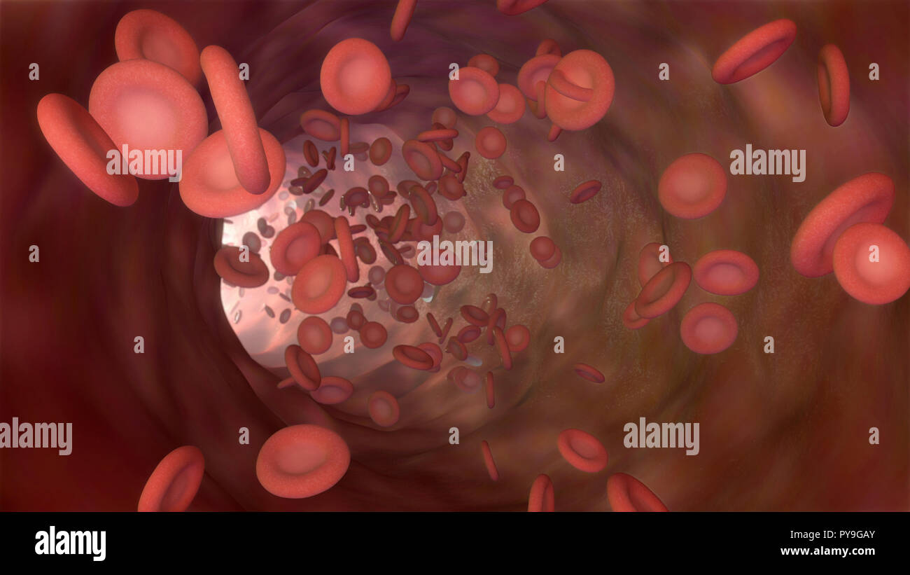 3D illustration of a bloodstream with red cell white cell and platelet Stock Photo