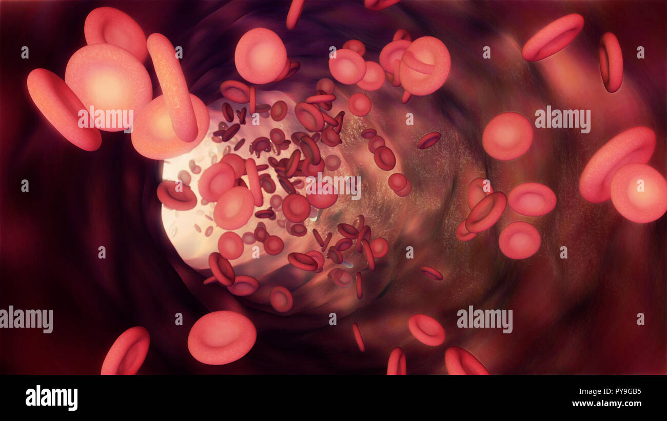 3D illustration of a bloodstream with red cell white cell and platelet Stock Photo