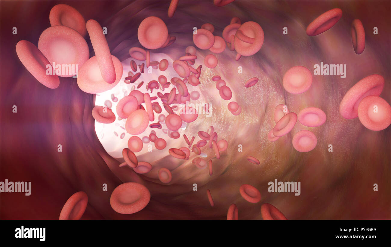 3D illustration of a bloodstream with red cell white cell and platelet Stock Photo