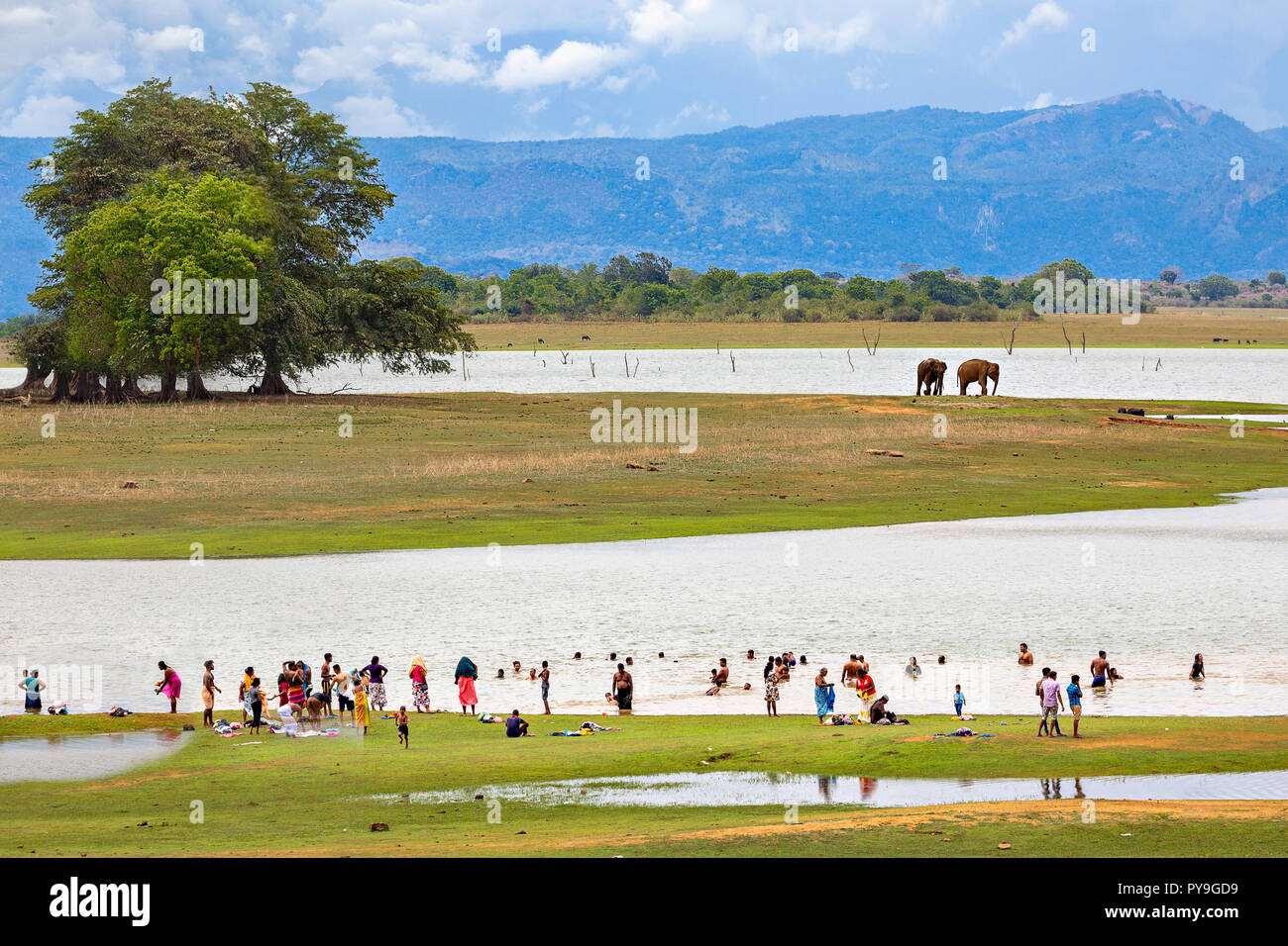 People washing in the lake and elephants in the background, in Uda Walawe, Sri Lanka. Stock Photo