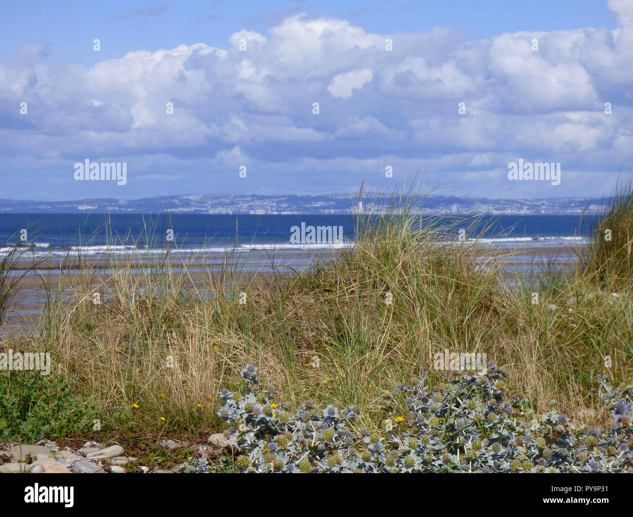 Kenfig Dunes nature reserve, near Porthcawl, South Wales, UK Stock ...