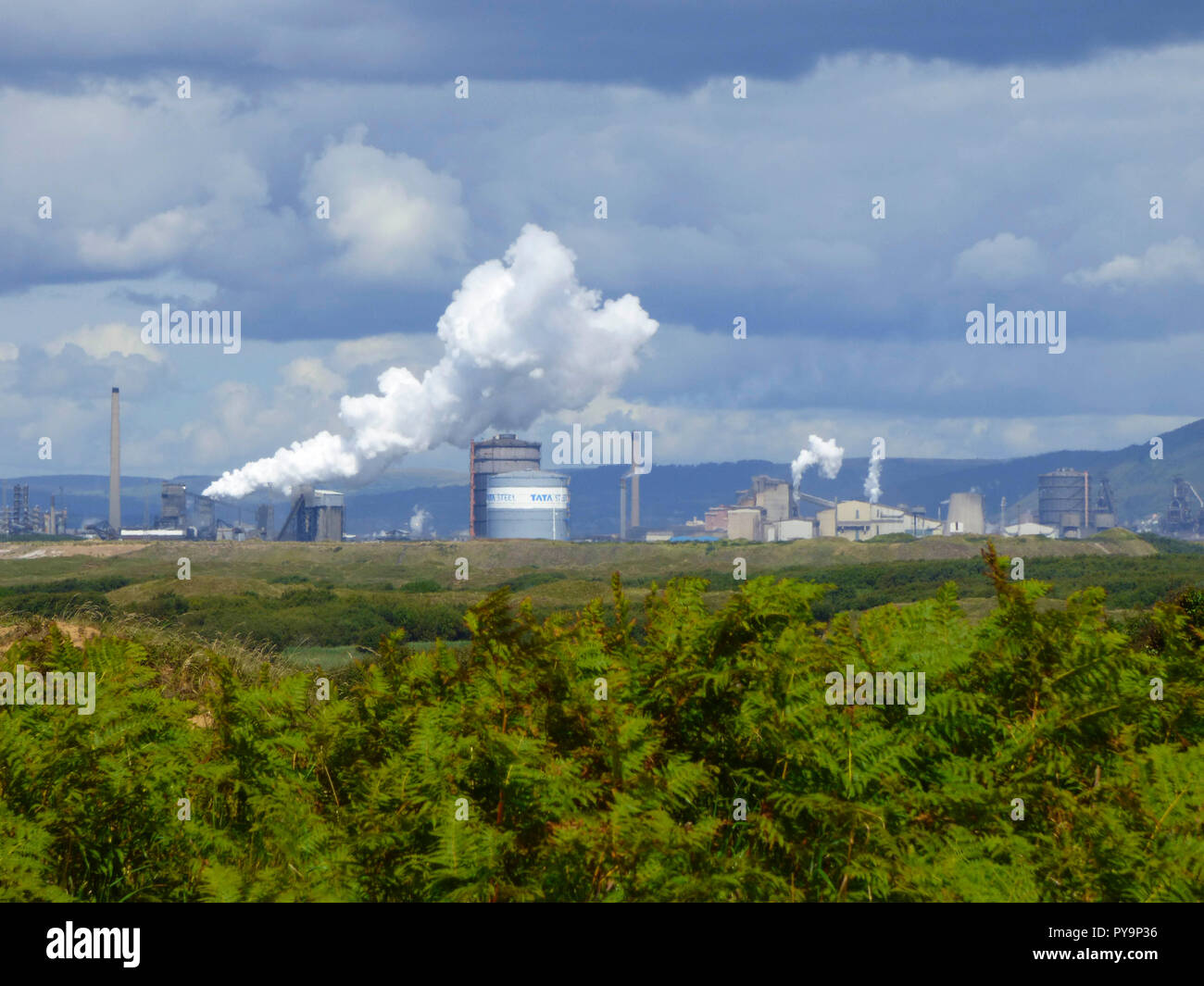 Kenfig Dunes nature reserve, near Porthcawl, South Wales, UK Stock ...