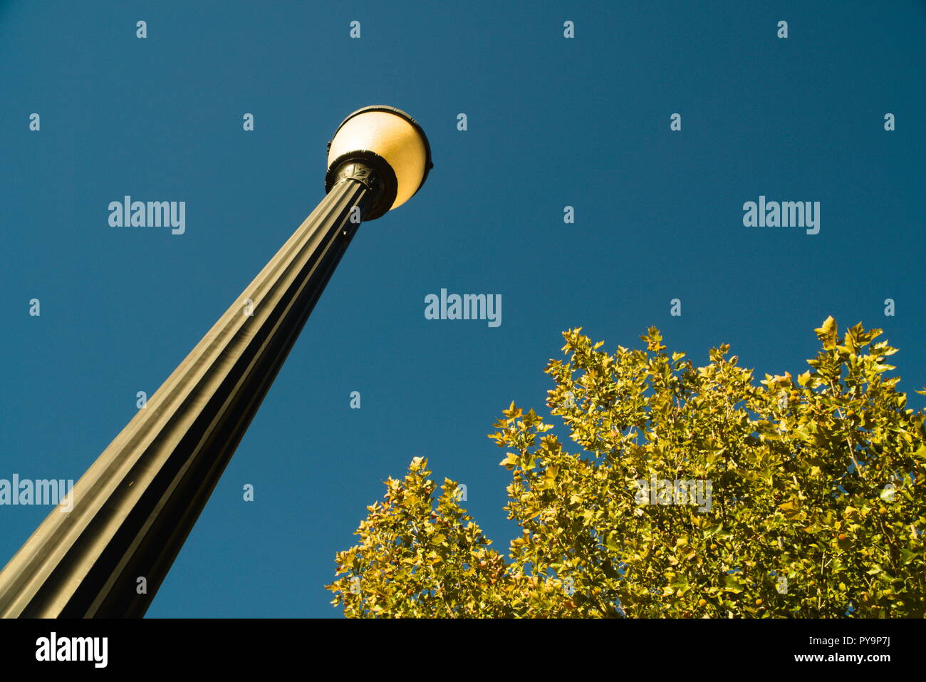 Street light streetlight hi-res stock photography and images - Alamy