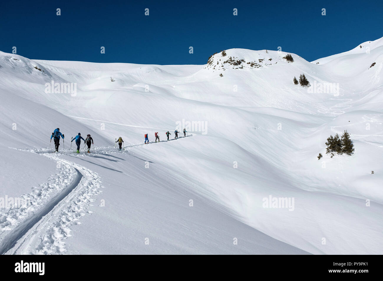 France cross country skiing hi-res stock photography and images - Page 4 -  Alamy