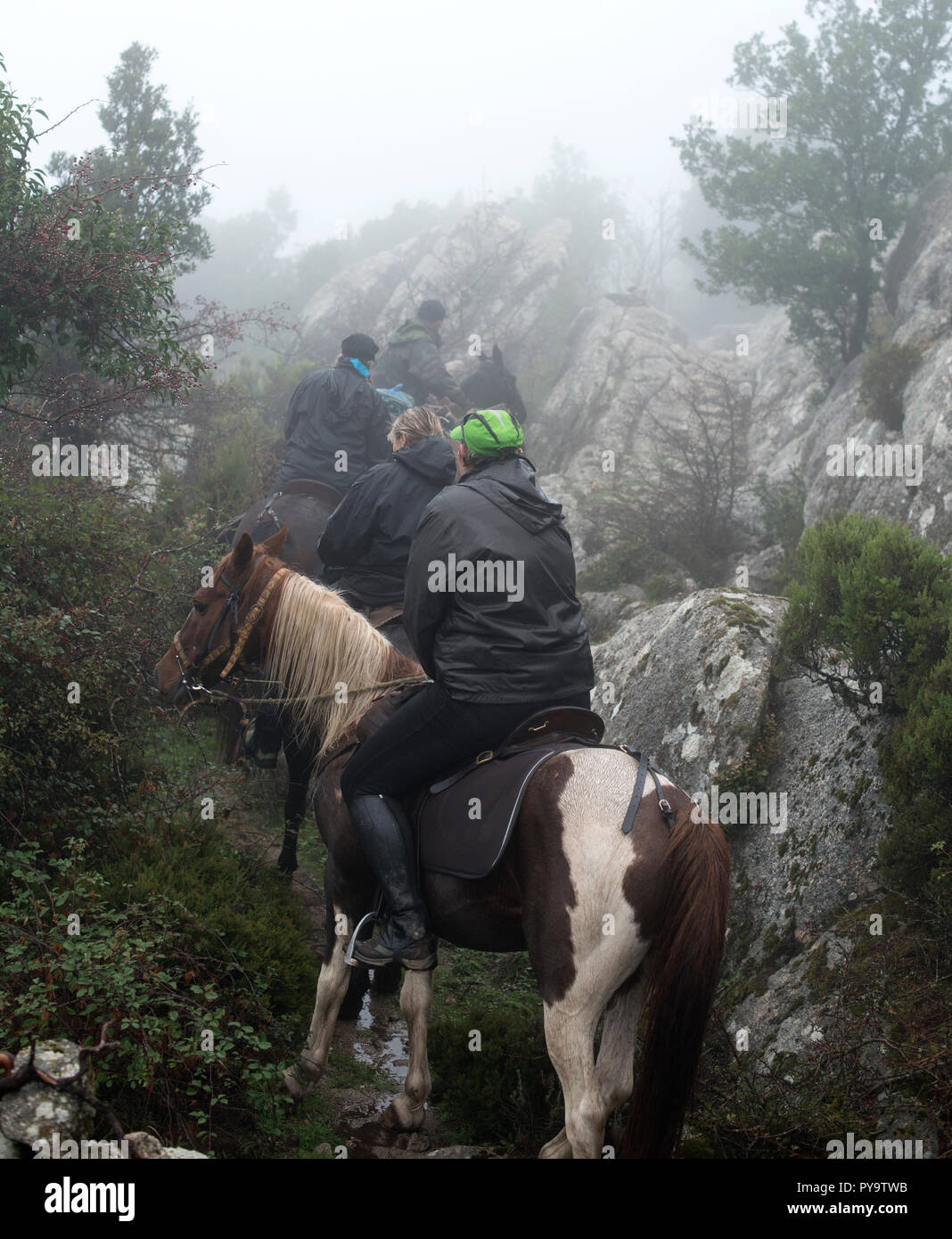 Ridding Ridding hi-res stock photography and images - Alamy