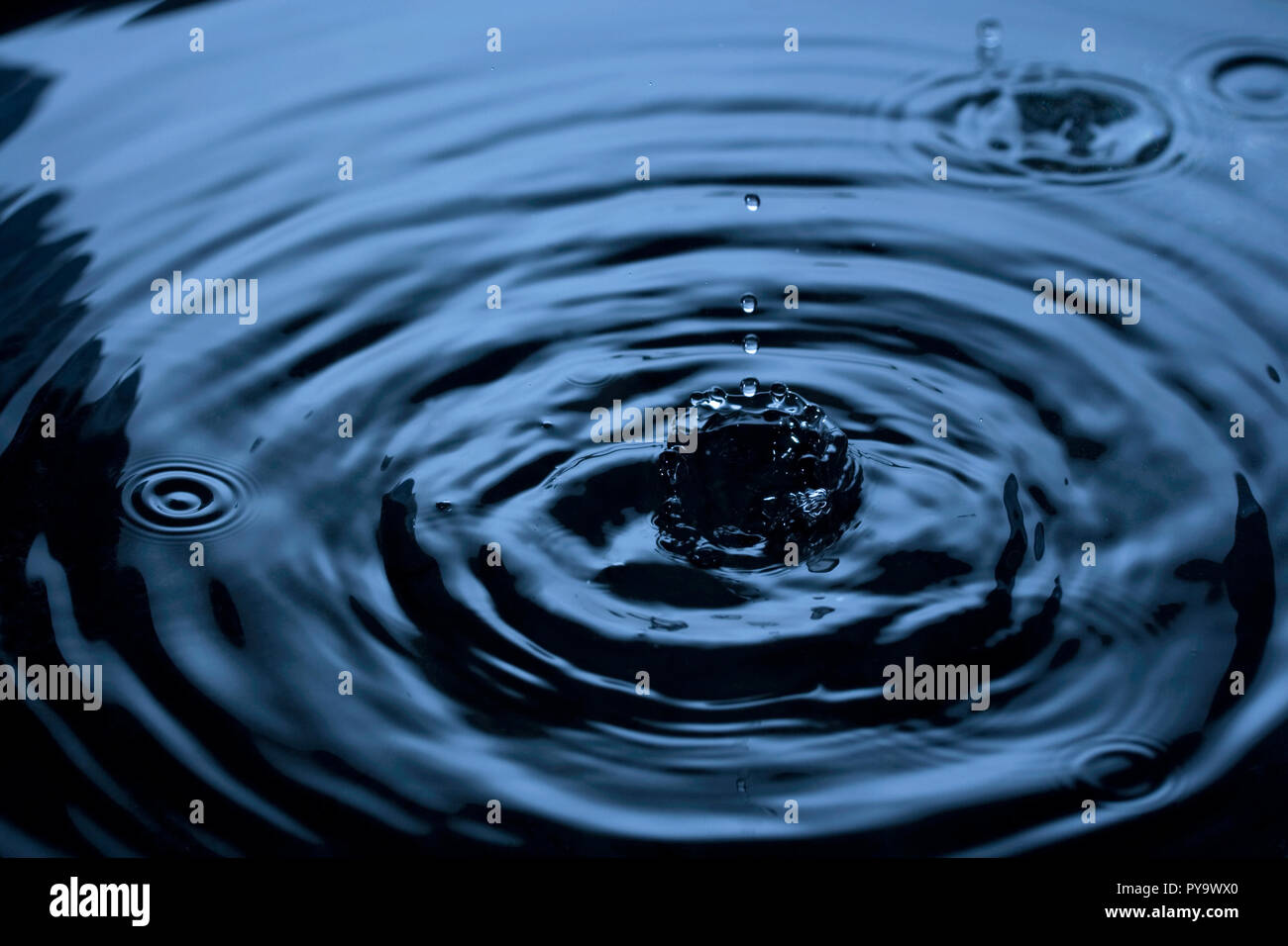 Rain drops falling and creating splashes and ripples Stock Photo