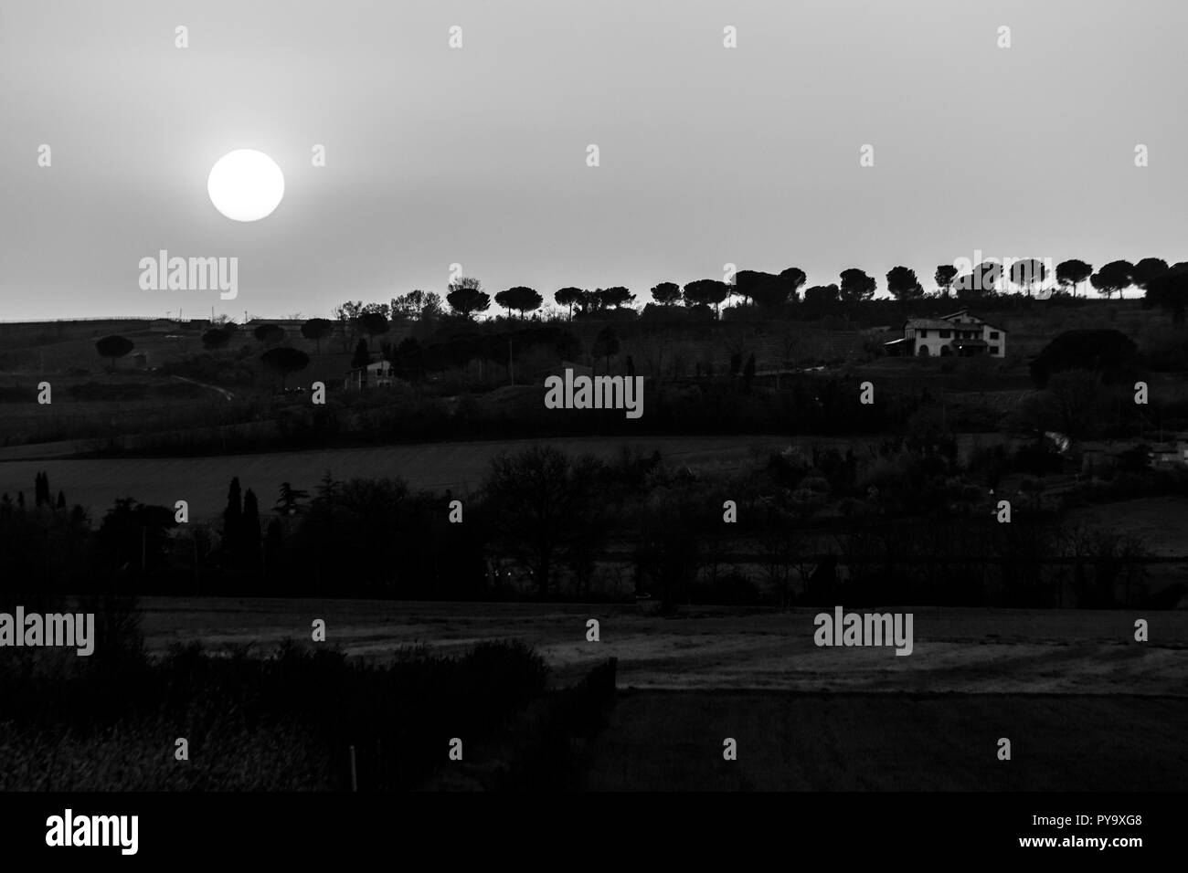 Moody sunset over trees silhouettes Stock Photo