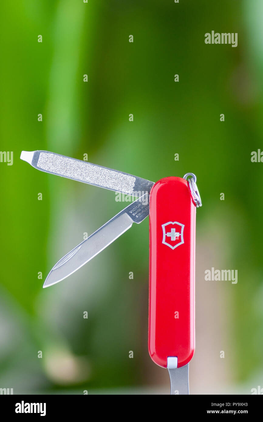 Small Swiss army knife close up isolated against blurry green backdrop Stock Photo Alamy