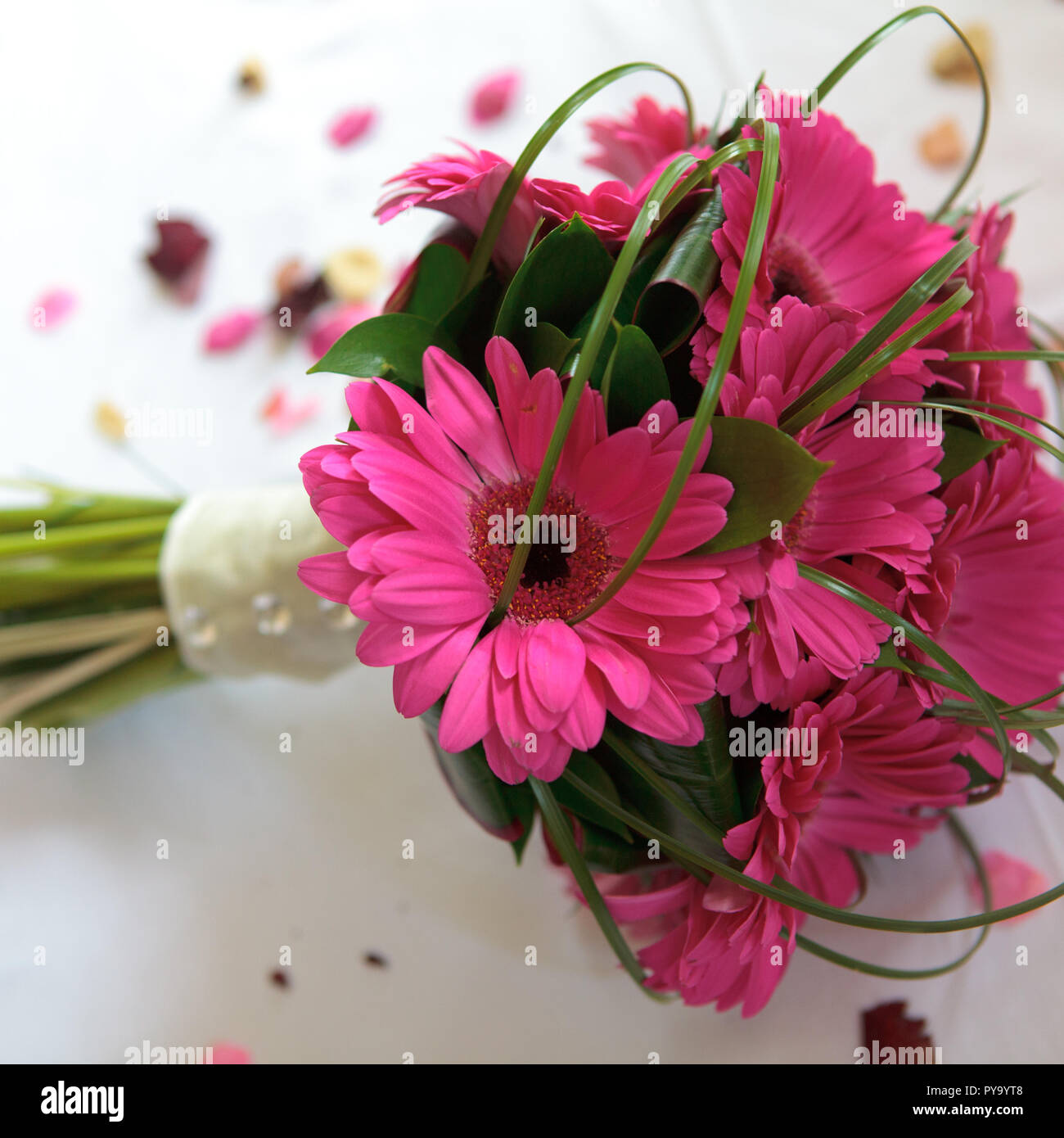 Luxurious bouquet arrangement of gerberas with a white pinned ribbon around  the stems Stock Photo - Alamy