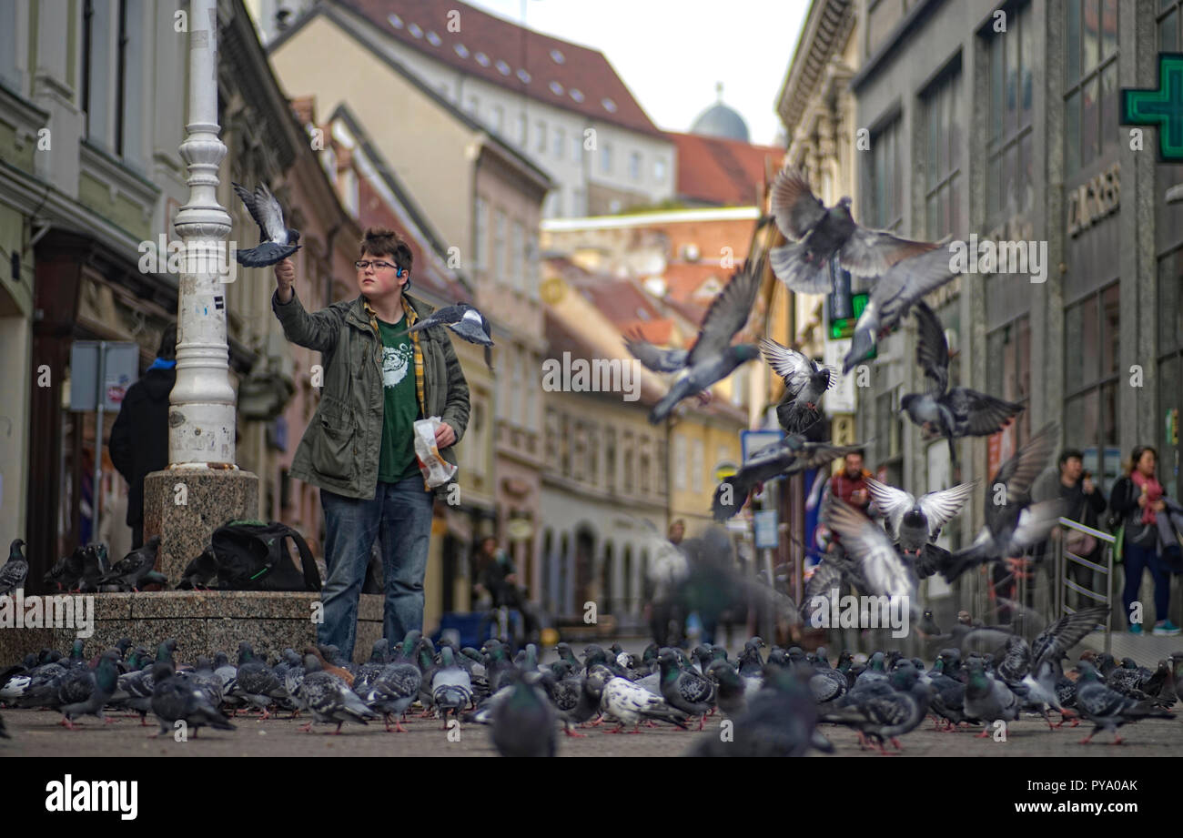 Zagreb - The Pigeon King Stock Photo