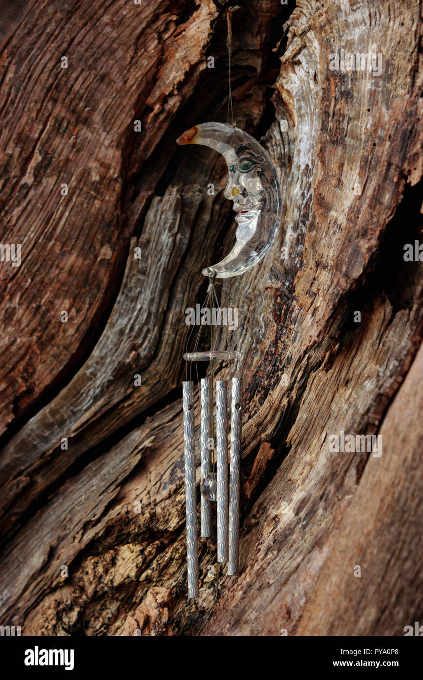 Clear glass, quarter moon pendant with face and silver wind chimes against a textured, wooden tree trunk background. Stock Photo