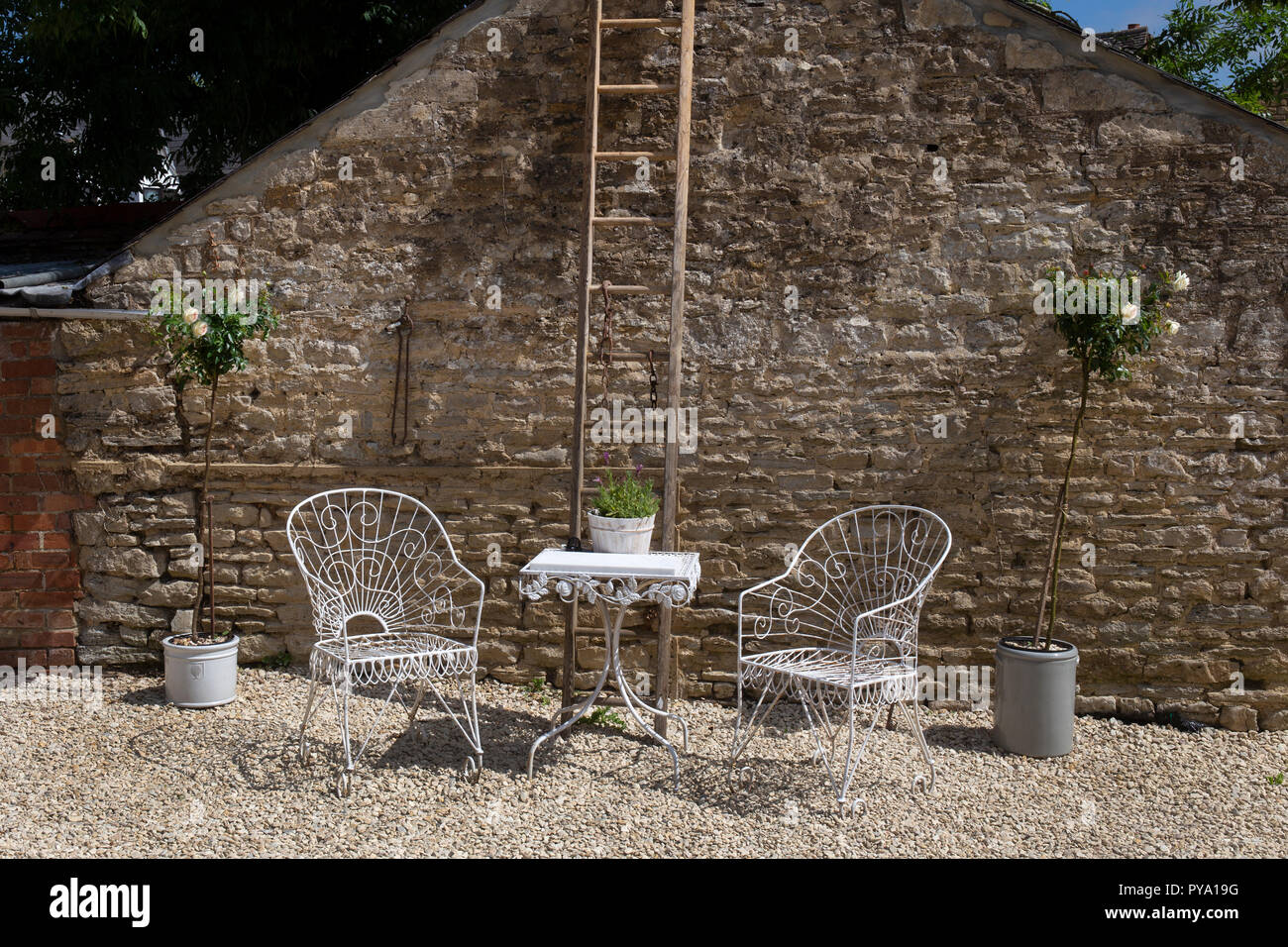 metal garden chairs on gravel courtyard with standard roses in pots and old ladder in English Garden,England,Europe Stock Photo