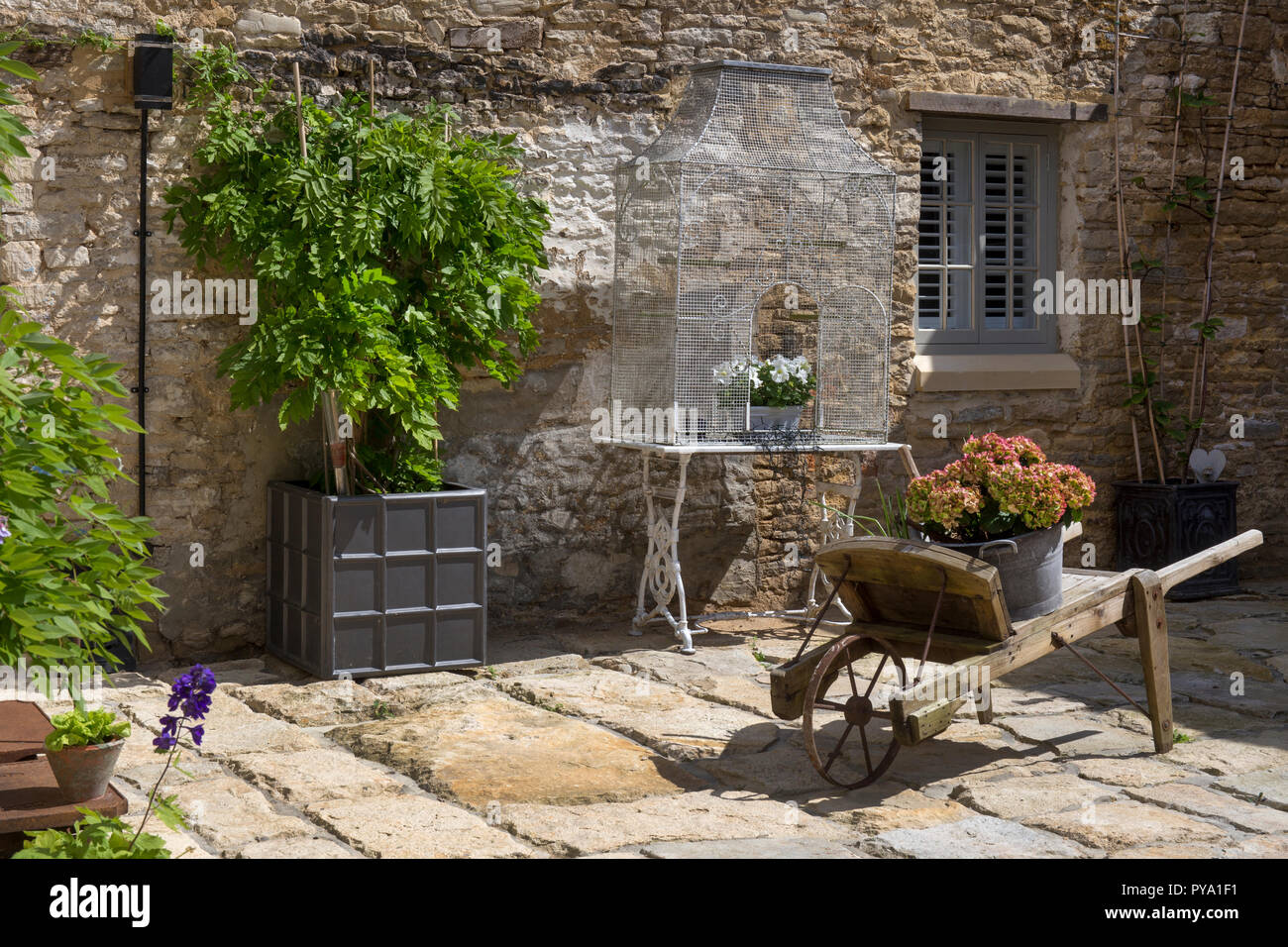 wooden wheelbarrow with hydrangea and wisteria in metal pot outside house on stone courtyard in English Garden,England,Europe Stock Photo