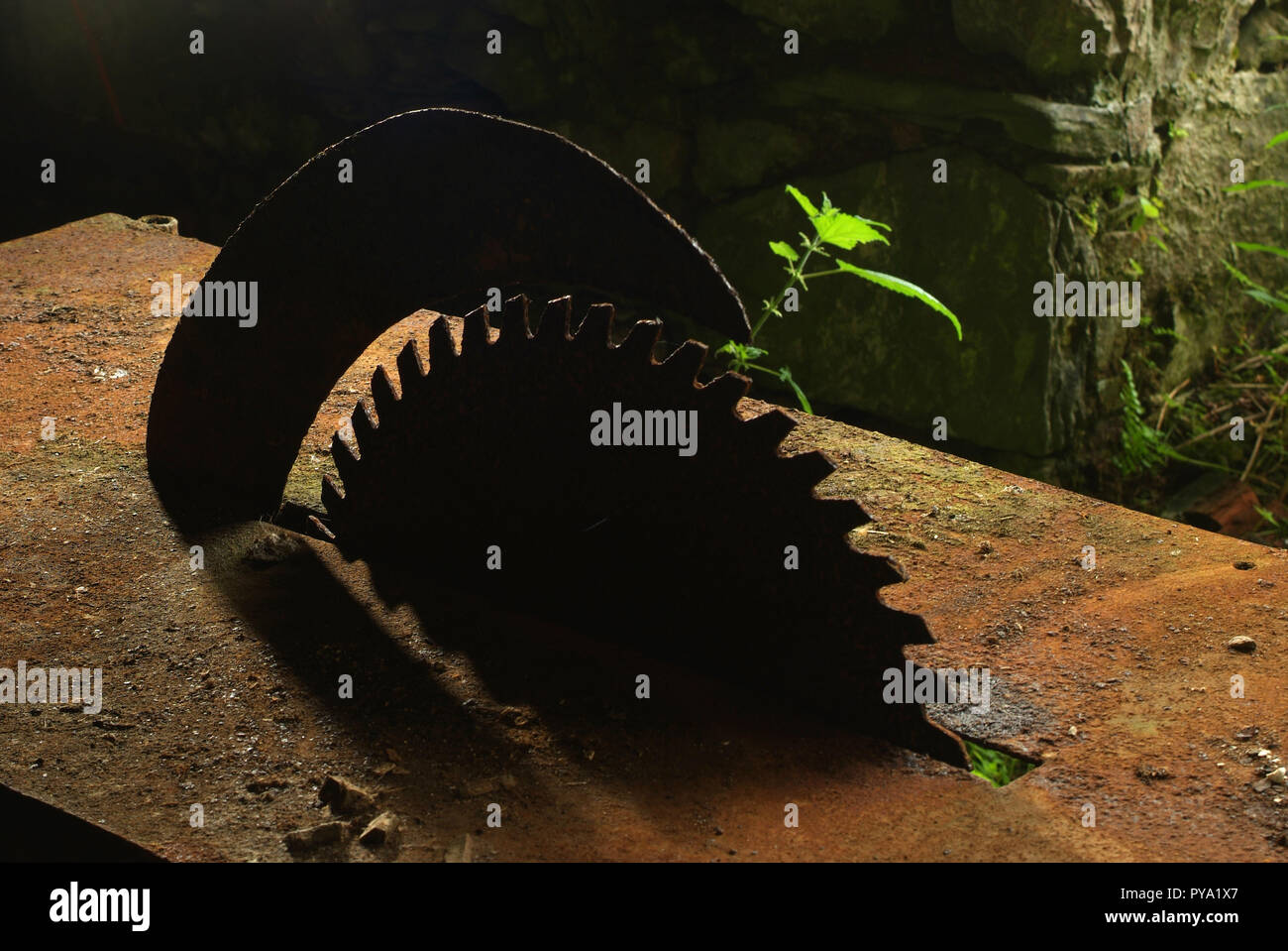 A rusting and dilapidated circular saw flat bench in an old abandoned workshop. Weeds grow though the saw blade Stock Photo