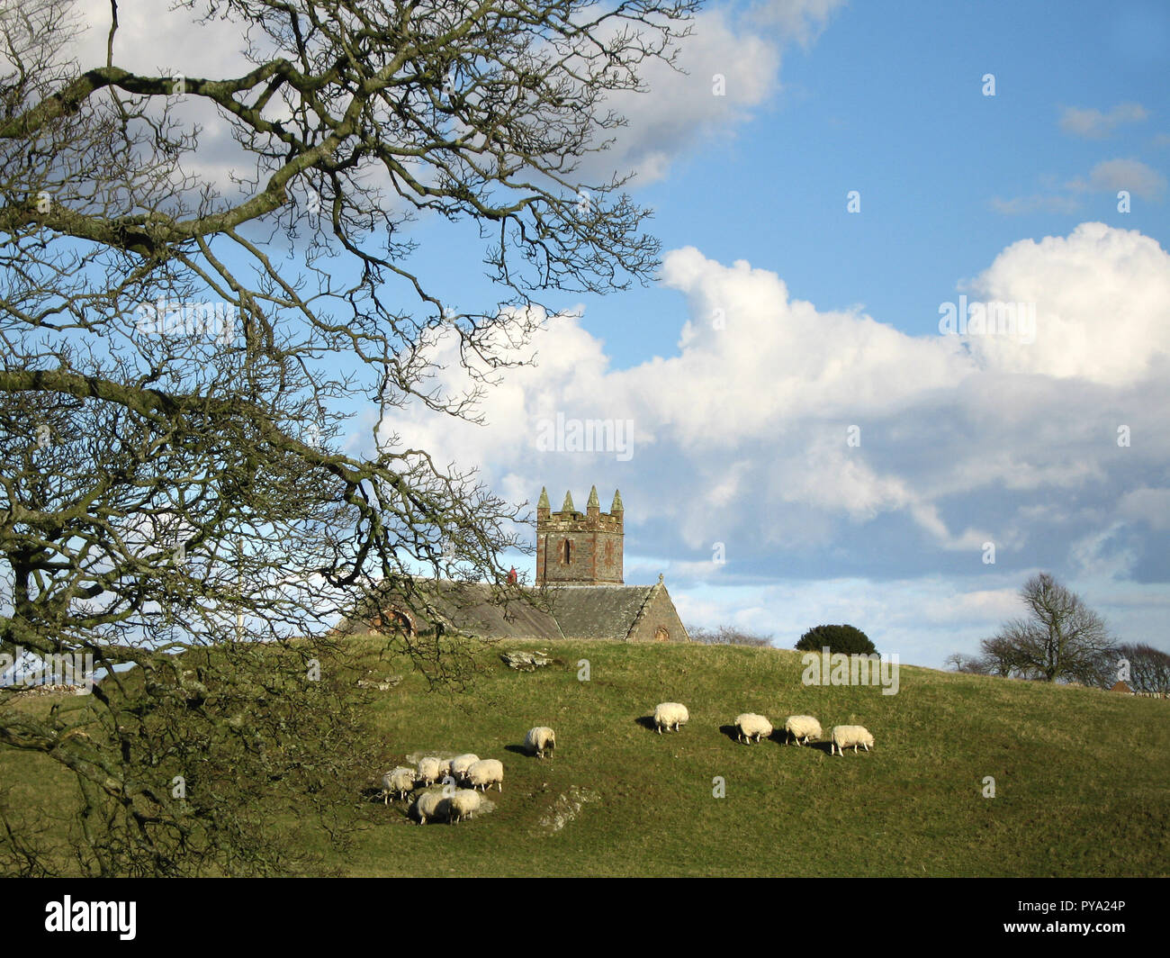 Borgue Church, Borgue, near Kirkcudbright, Dumfries and Galloway, SW Scotland. A flock of white sheep graze on the hill in front of the church Stock Photo