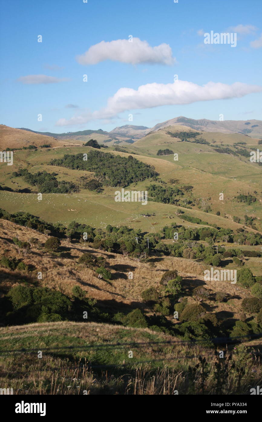 Hillside countryside in New Zealand, from A75 in the Akaroa Peninsula, with a number of valley gullies, the grass is starting to look a little parched Stock Photo