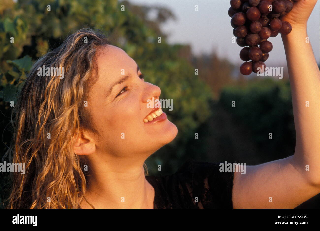 Closeup portrait of attractive young lady having grapes Stock Photo