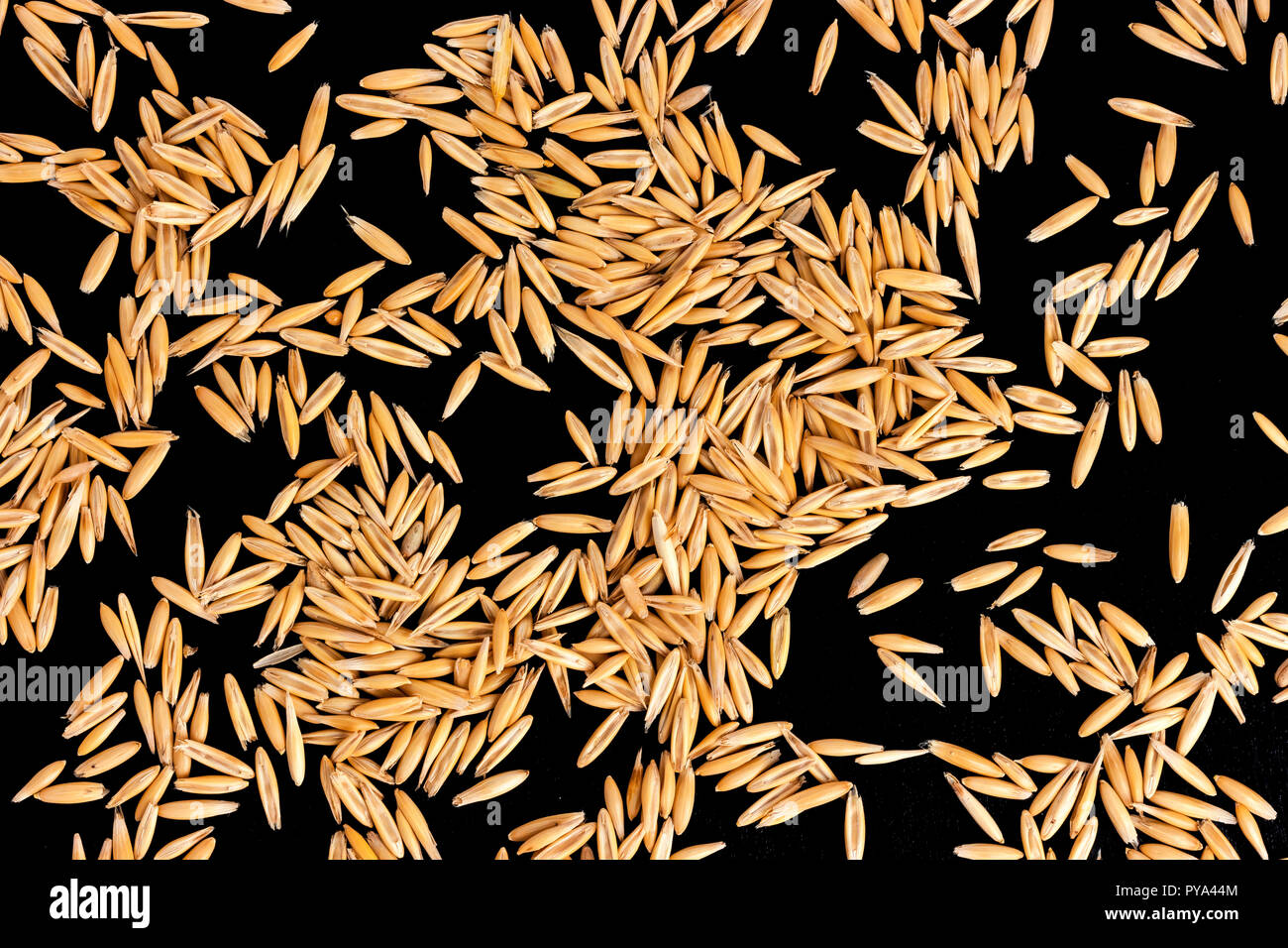 Pile of oat seeds on black background, top view Stock Photo