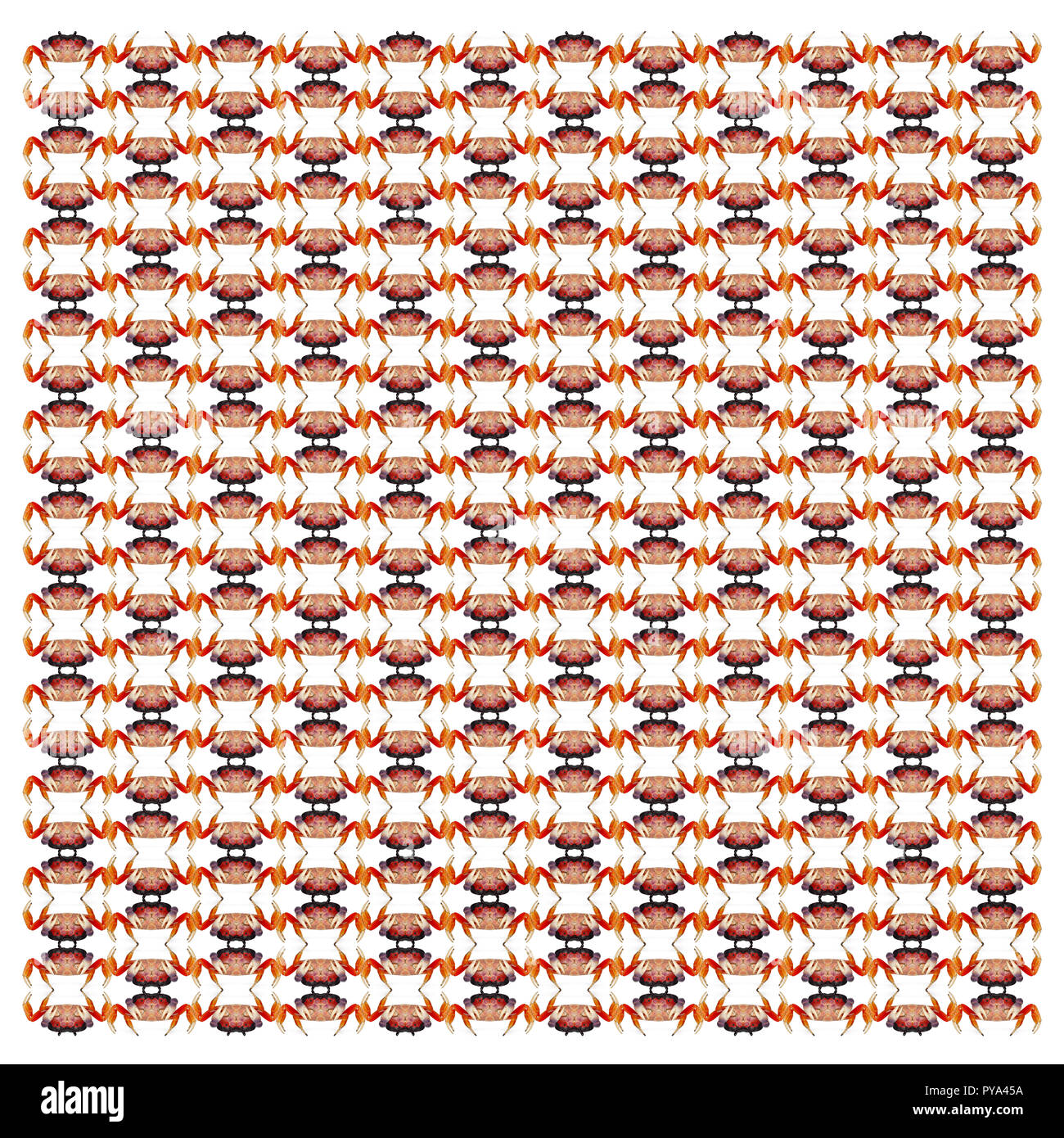 Orange Land Crab Cut Out Stock Images Pictures Alamy