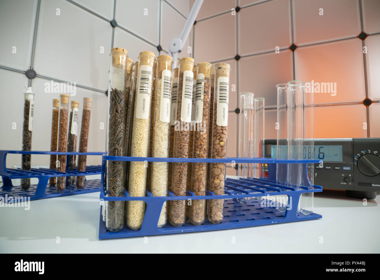 Gene banks plants.  Study of agricultural seeds in the lab Stock Photo