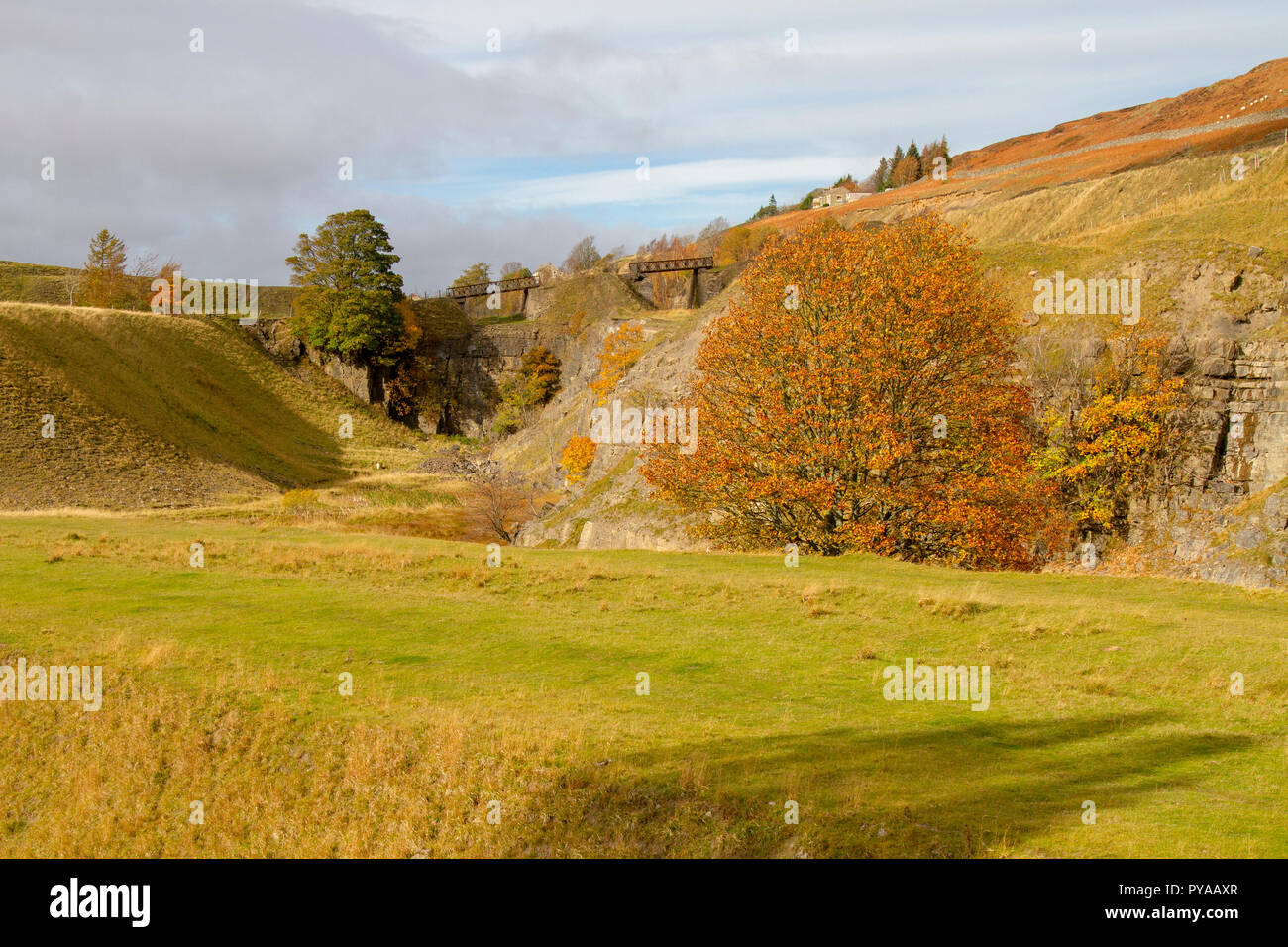 Ashes Quarry, Stanhope in autumn Stock Photo