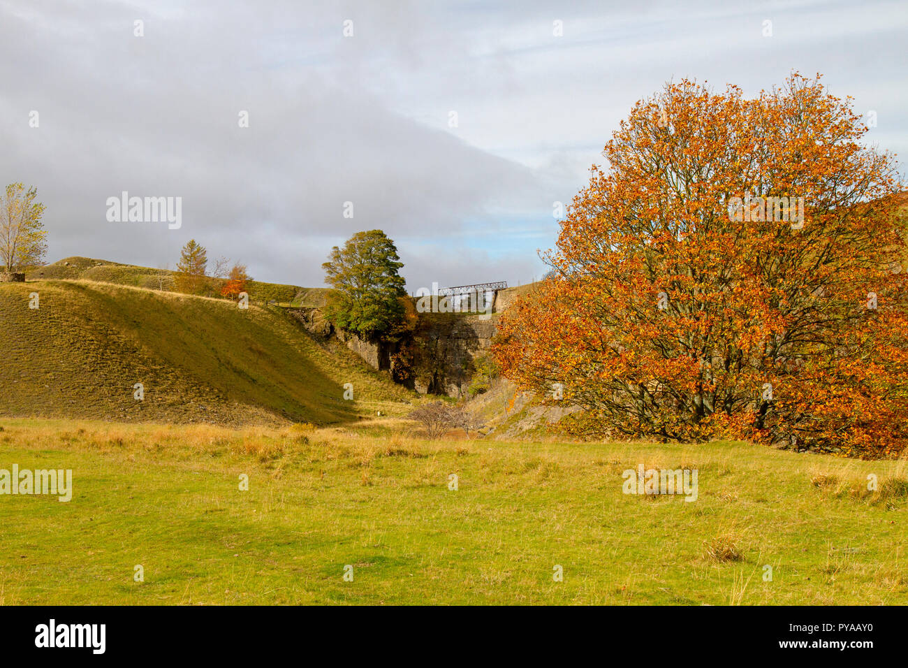 Ashes Quarry, Stanhope in autumn Stock Photo