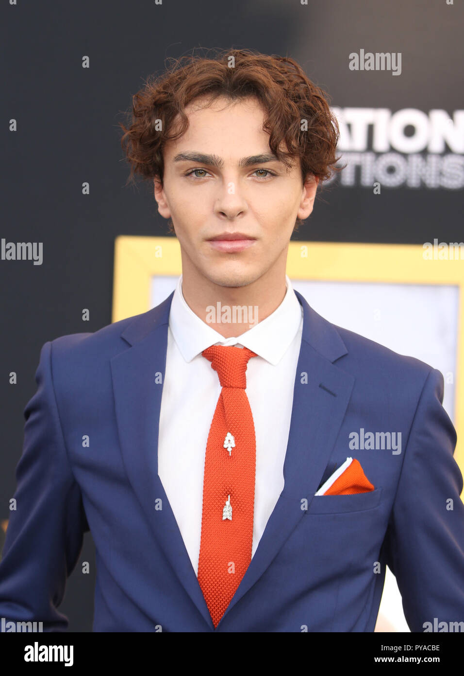 Steve Roff Images The Los Angeles Premiere of “A Star is Born” Featuring: Stevie Ruffs ...