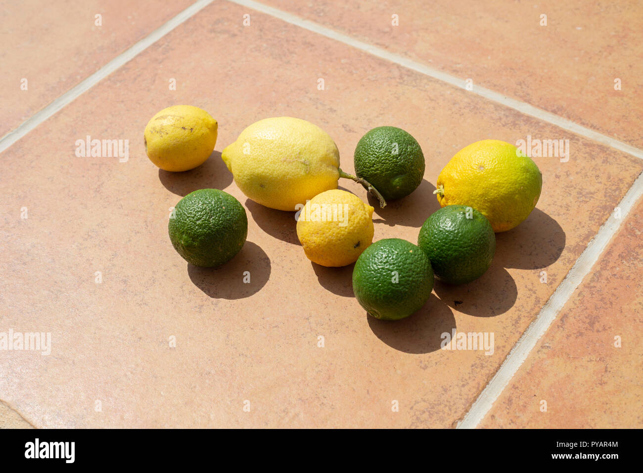 A selection of citrus fruits. Stock Photo
