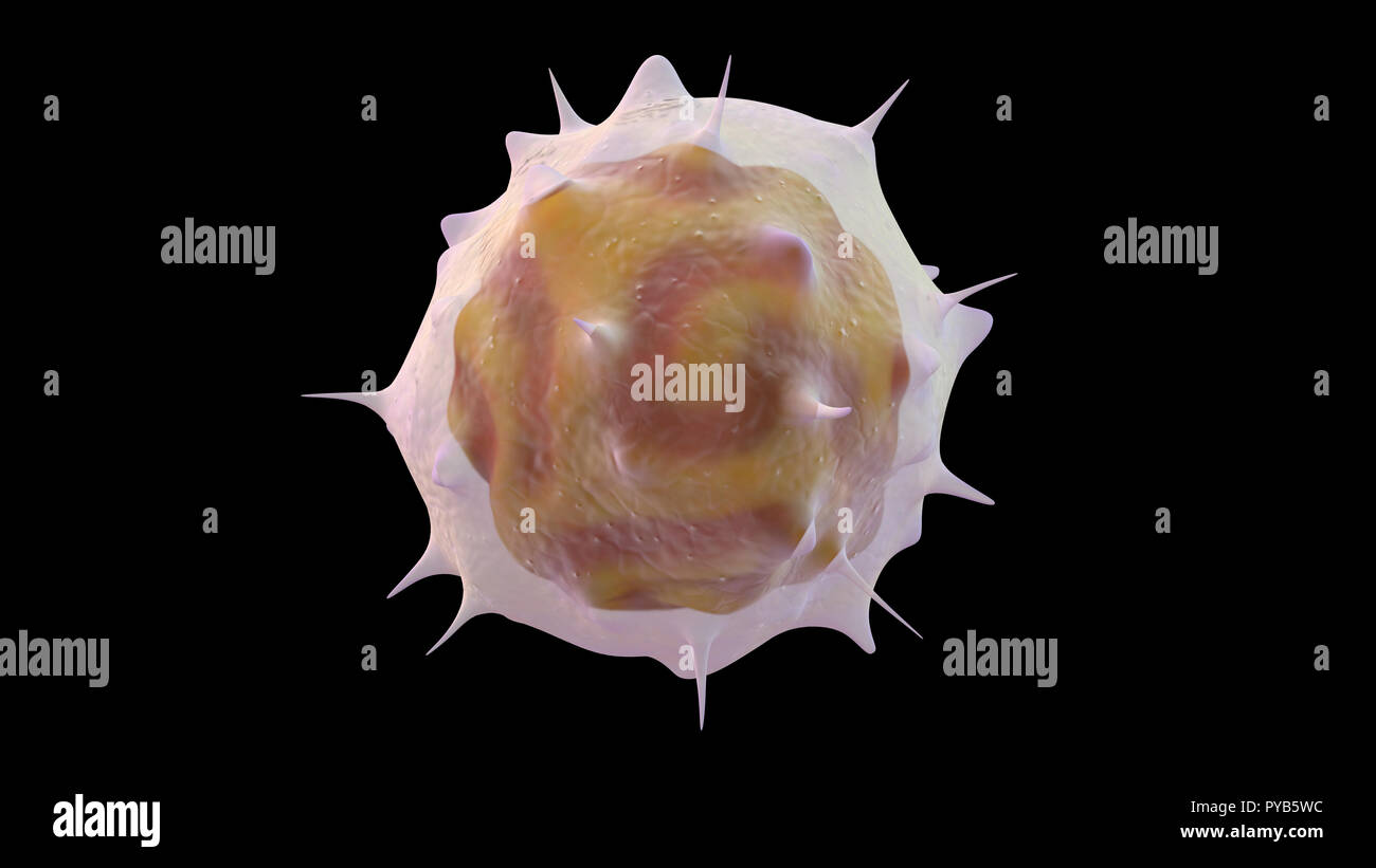 3D illustration of lymphocytes white blood cell Stock Photo
