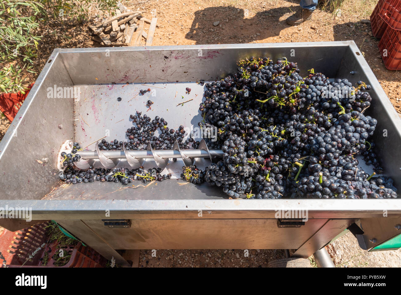 Commercial Grape Crusher Machine