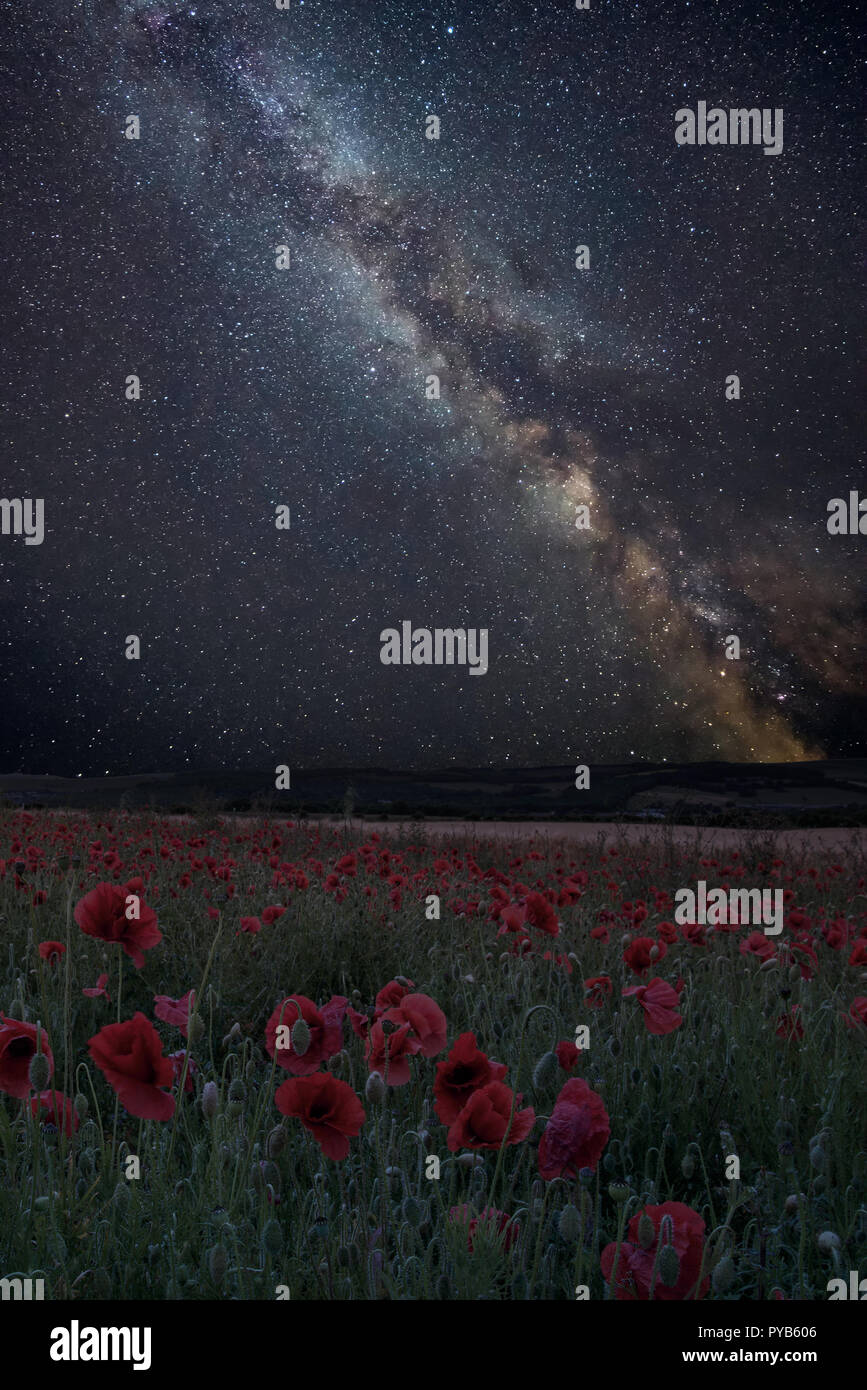 Stunning vibrant Milky Way composite image over landscape of poppy ...