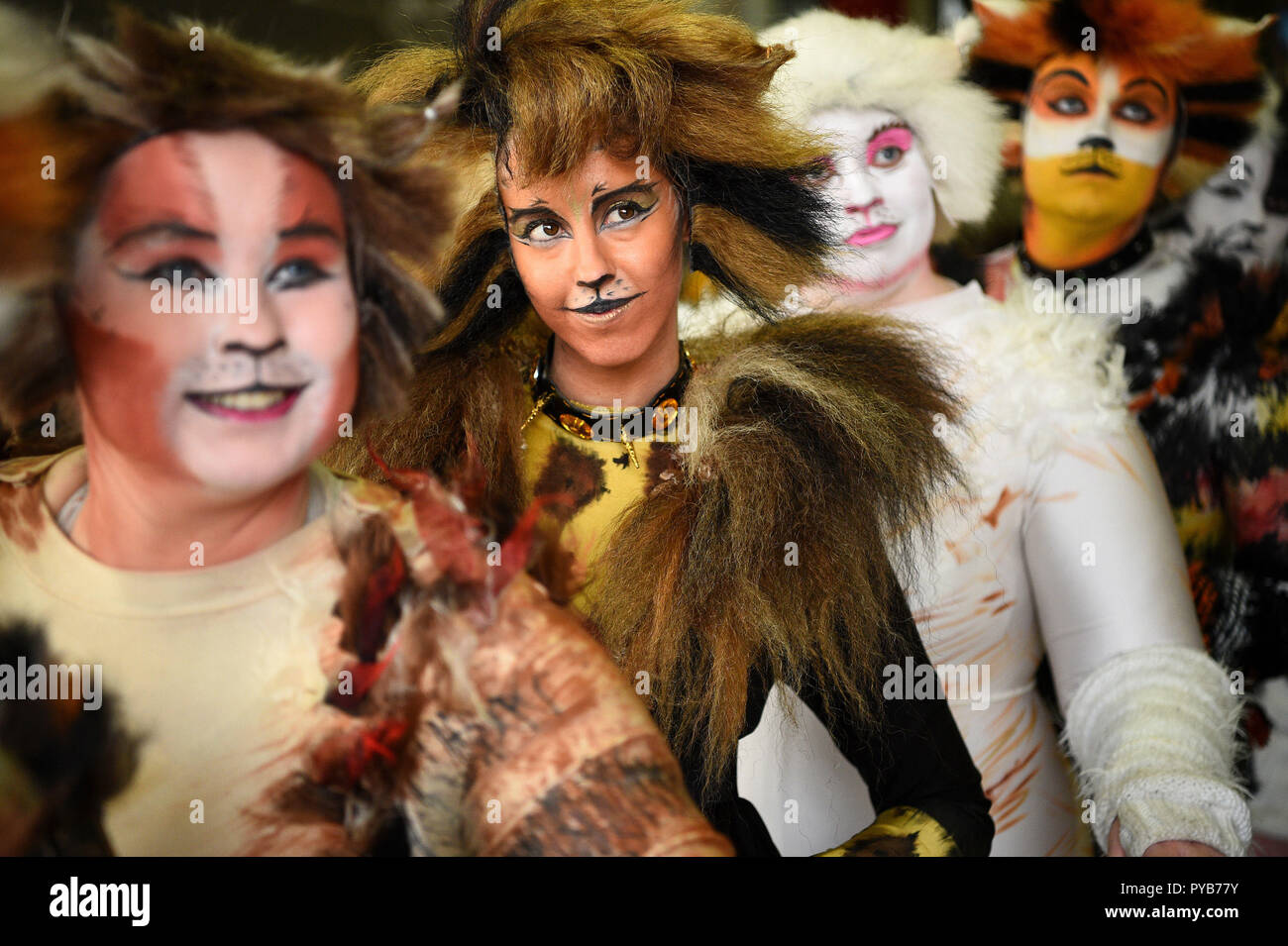 Cosplayers dressed as Cats at the London Comic Con at the ExCel London. Stock Photo