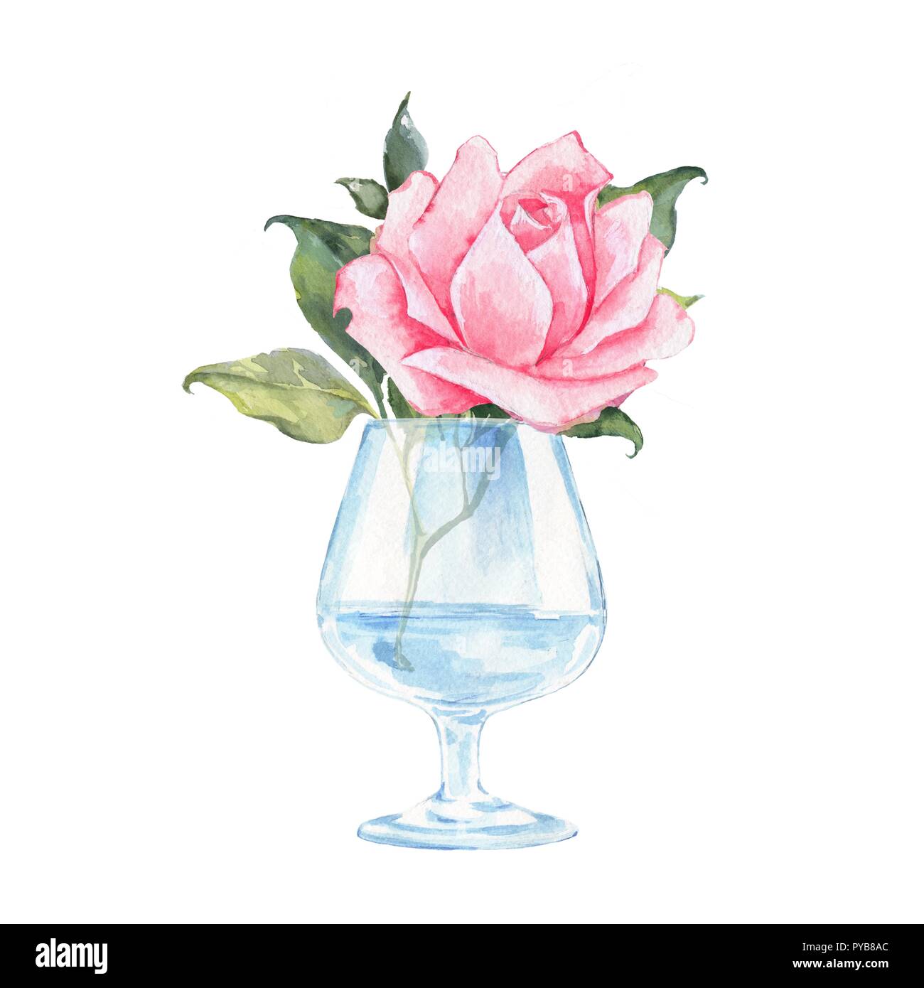 Glass vase with pink flower. Watercolor illustration Stock Photo - Alamy