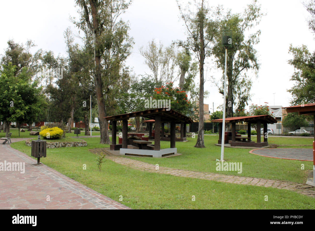 una mañana nublada en un parque familiar Stock Photo