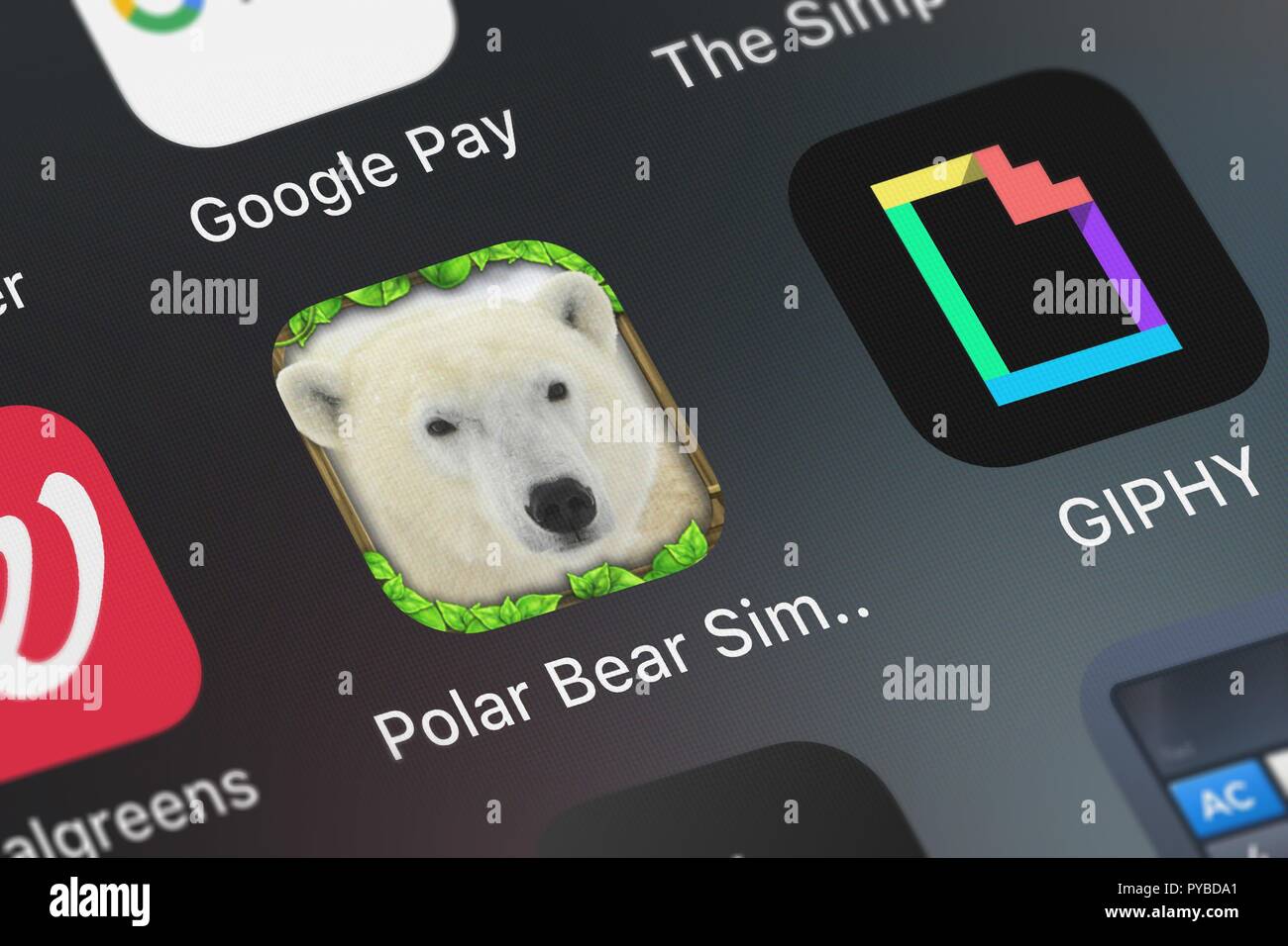 polar bear simulator free download polar bear simulator free download
