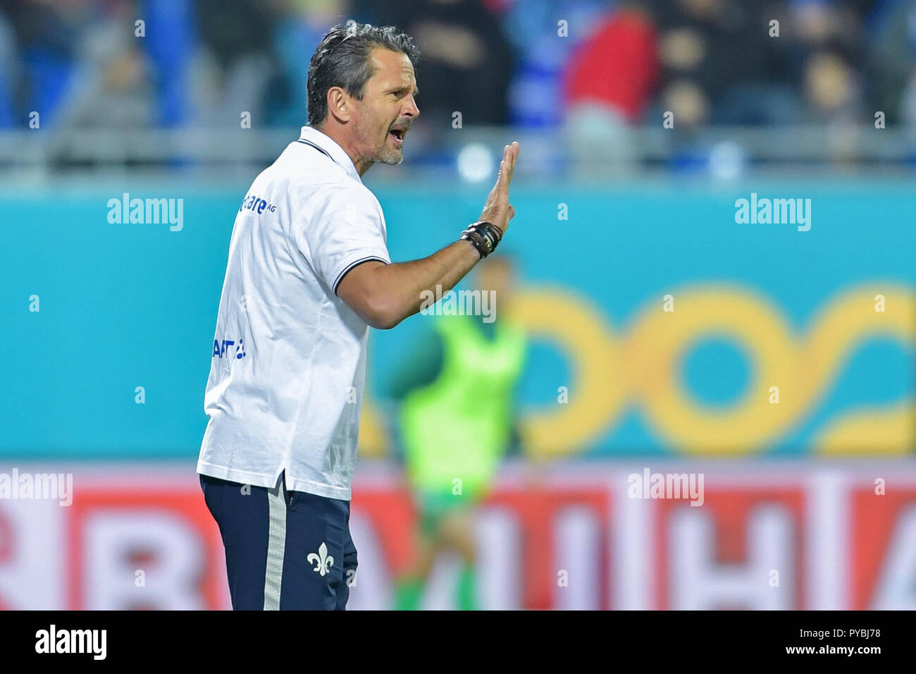 dating coach darmstadt