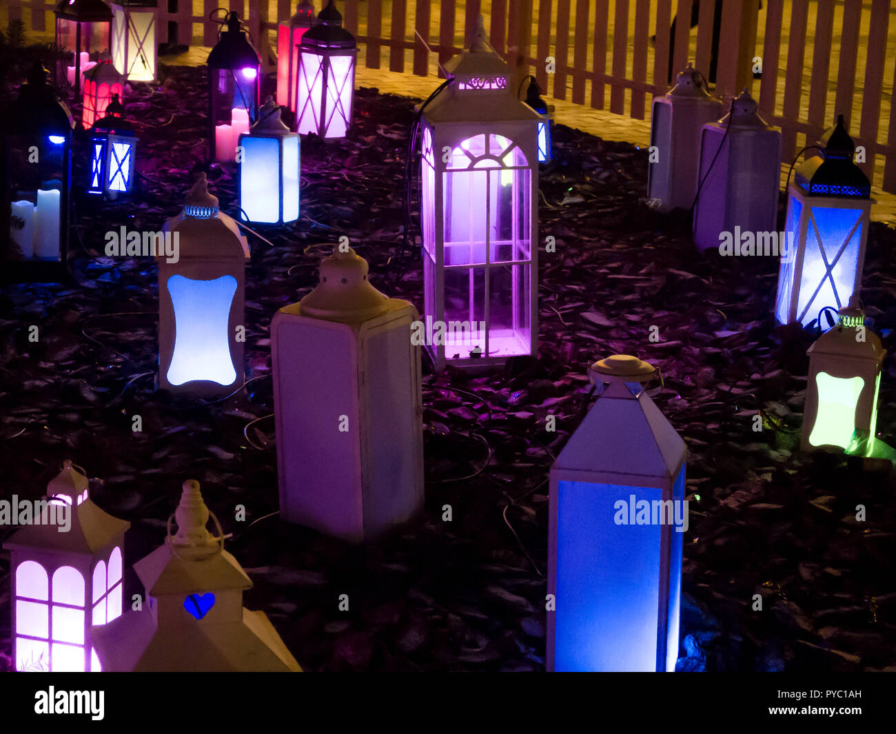 Lanterns pine hi-res stock photography and images - Alamy