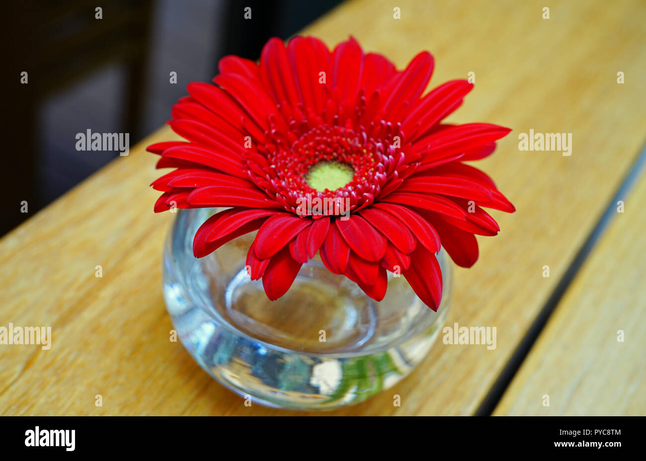 Bud Vase Stock Photos Bud Vase Stock Images Alamy