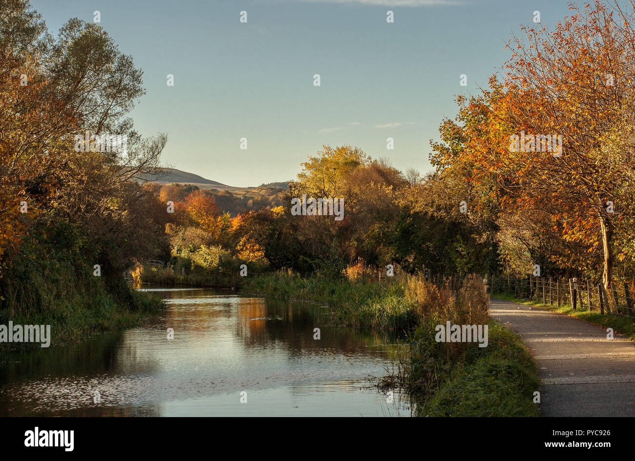 View of Union Canal, in Edinburgh, Scotland, surounded by autumnal coloured trees and grass and walkway on the right Stock Photo
