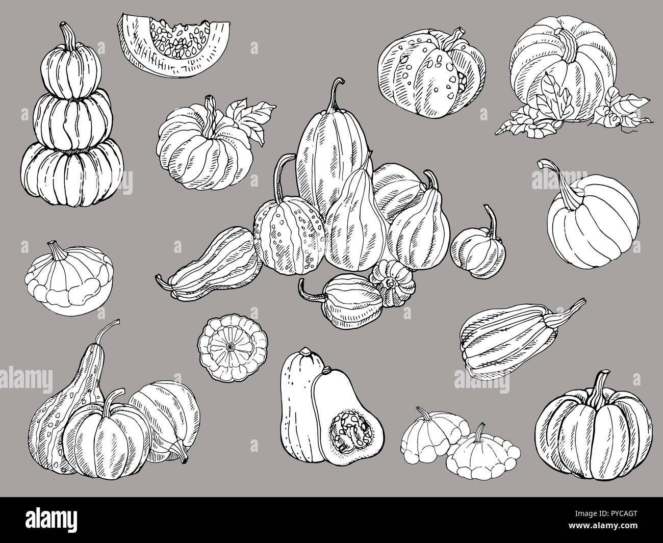 Set of hand drawn sketch style isolated pumpkins. Vector illustration ...