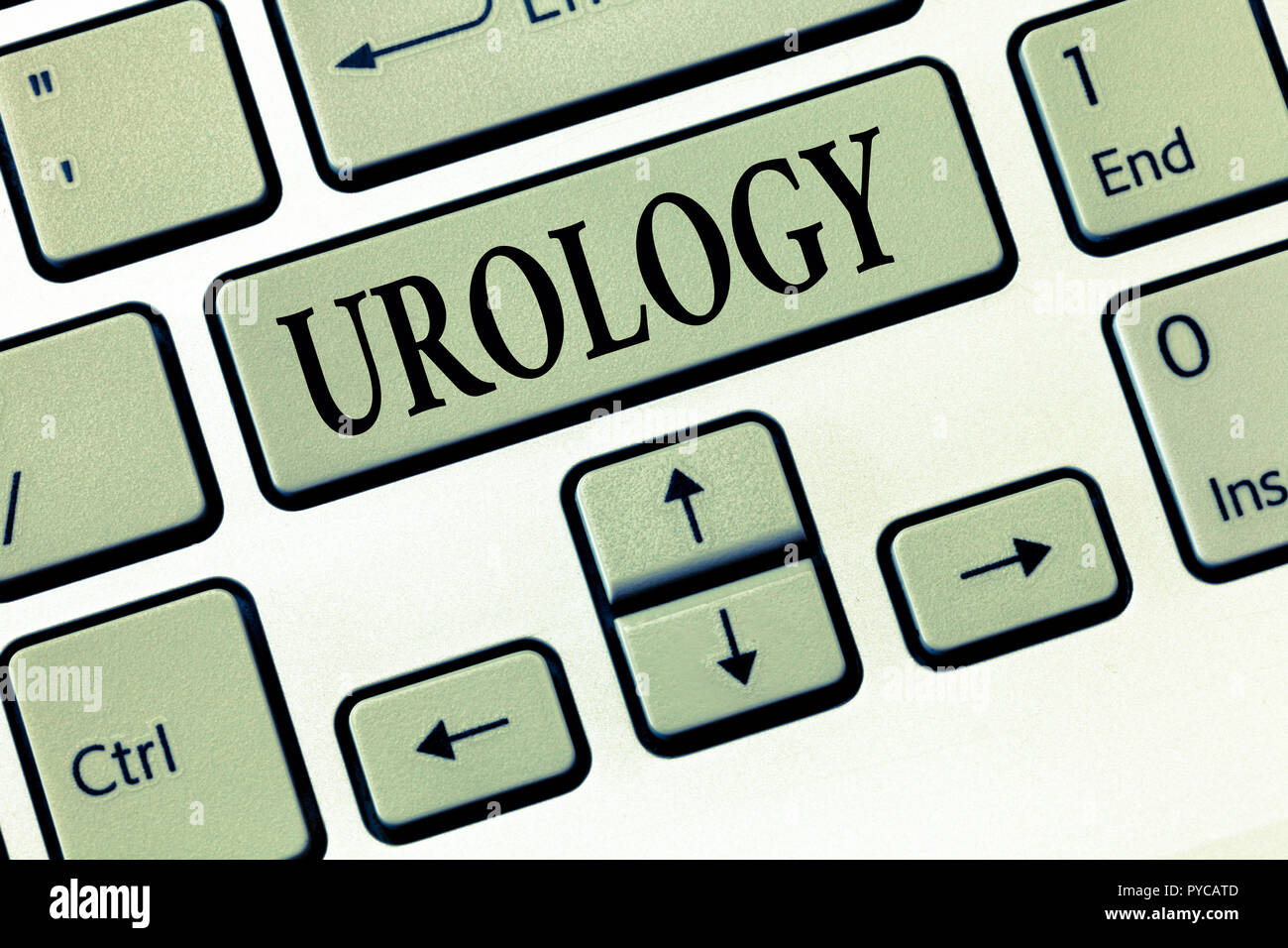 Word writing text Urology. Business concept for Medicine branch related with urinary system function and disorders. Stock Photo