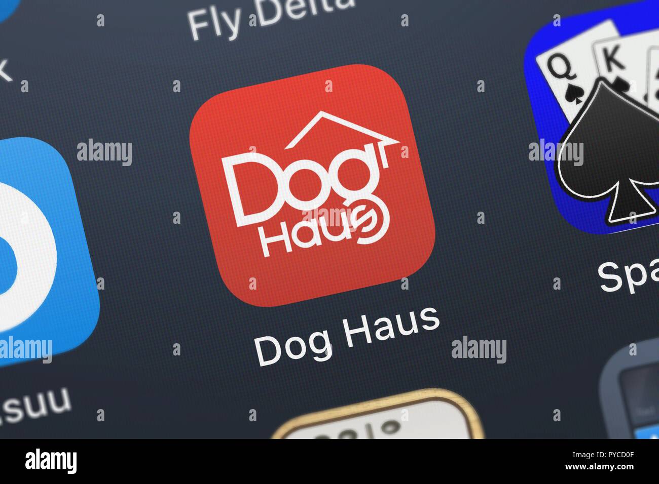 London, United Kingdom - October 26, 2018: The Dog Haus mobile app from LevelUp Consulting, LLC on an iPhone screen. Stock Photo