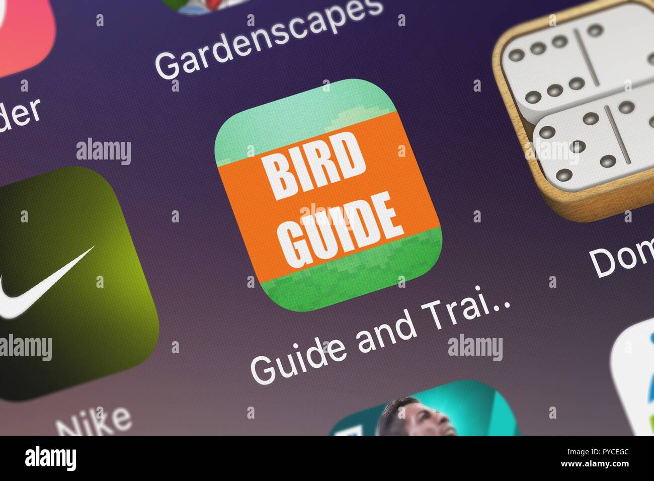 Screenshot of the Flappy Bird game.
