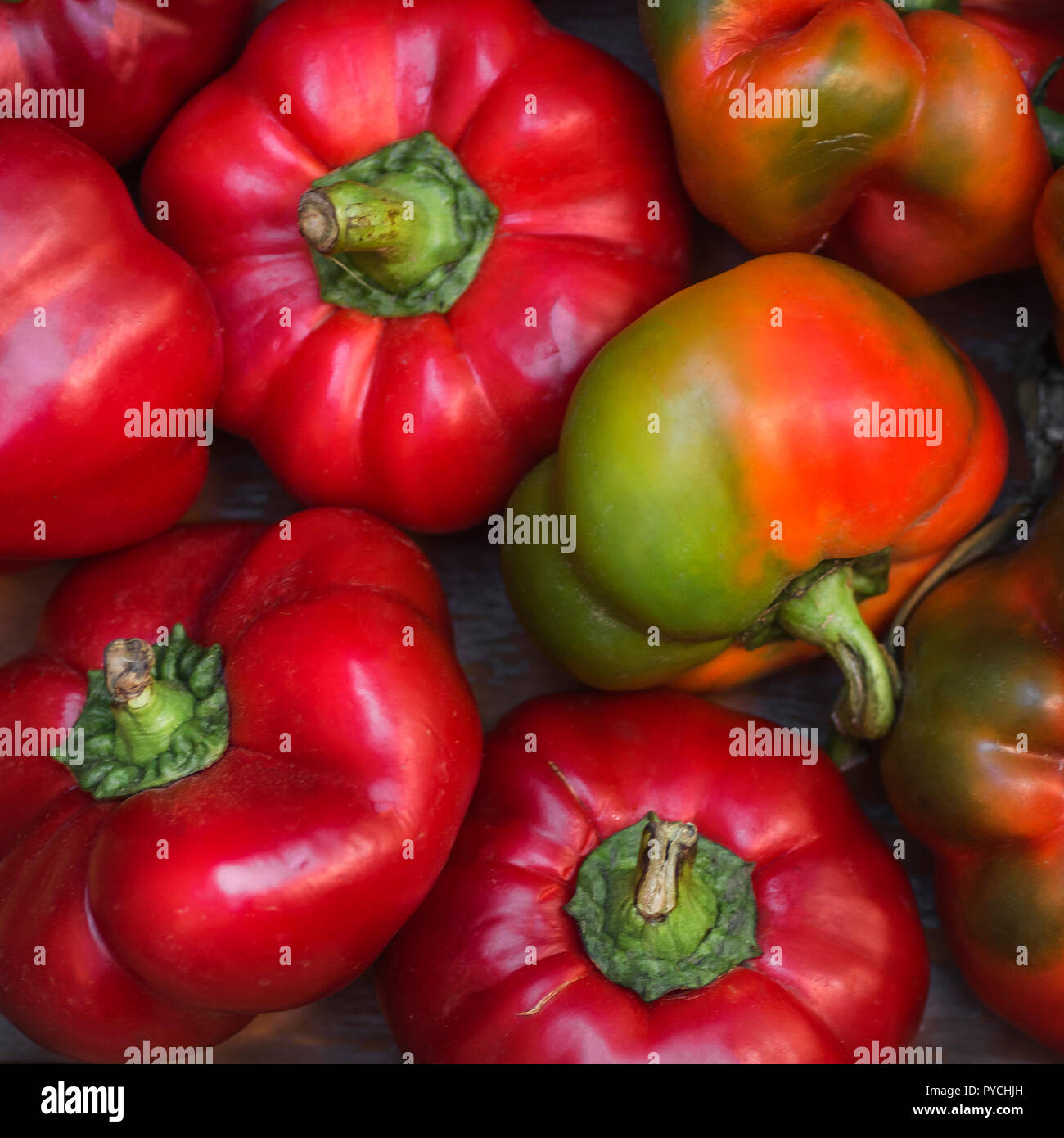 red hot pepper round shape natural background selective focus Stock Photo