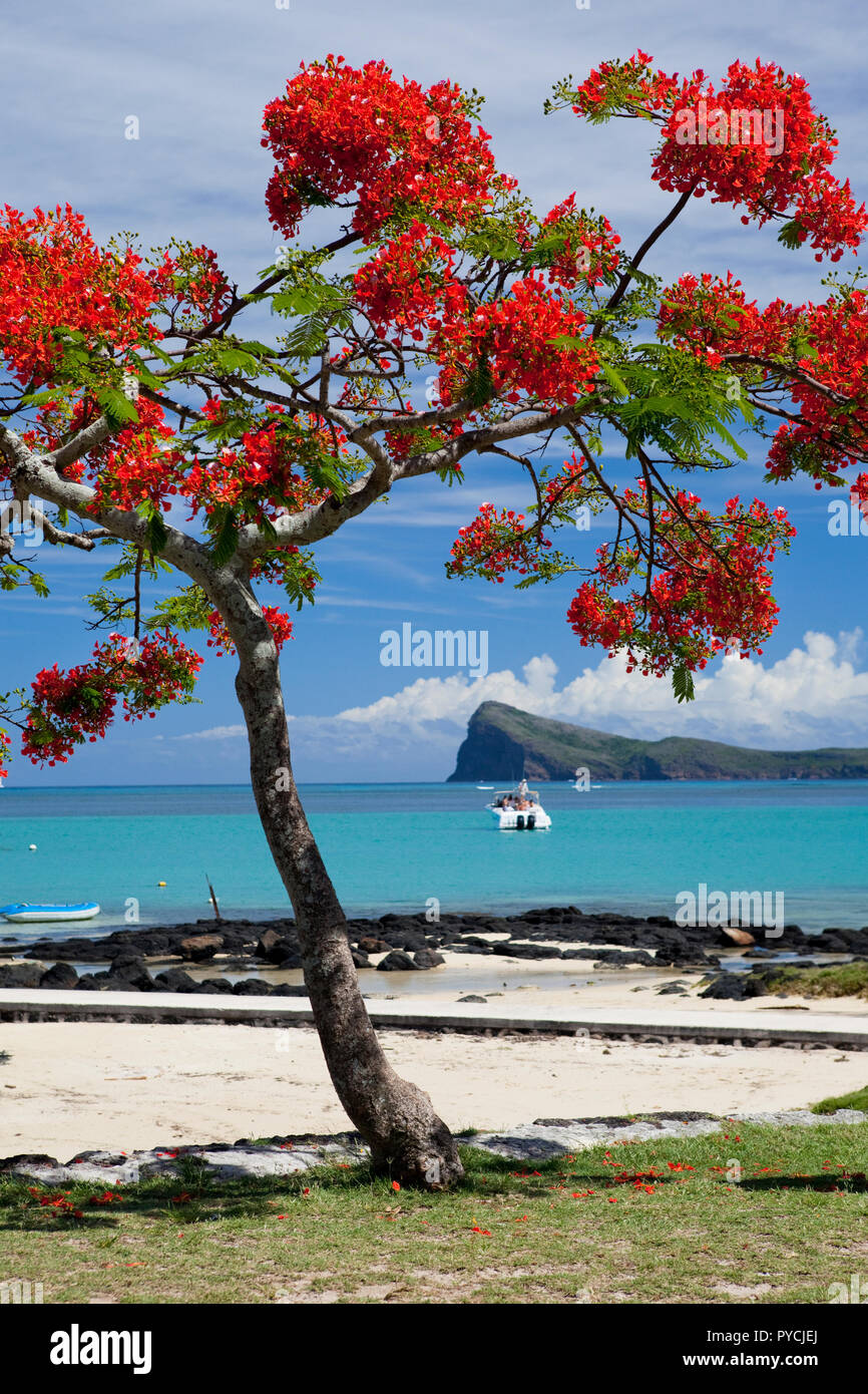 View north towards Flat Island from Cap Malheureux, Mauritius. Stock Photo