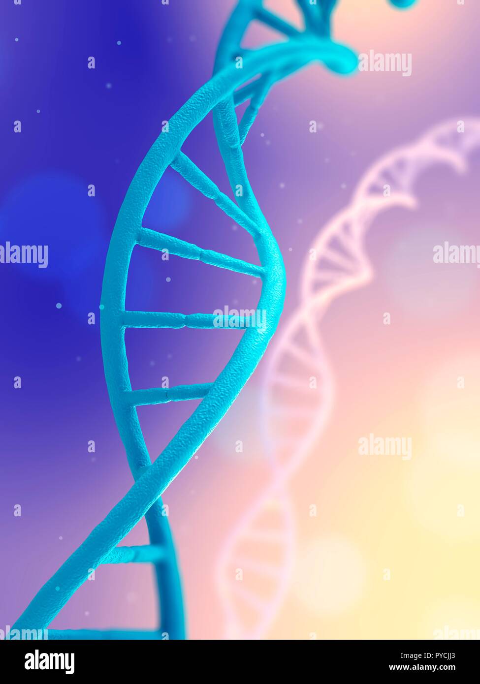 Microscopic view of a DNA molecule, illustration Stock Photo - Alamy