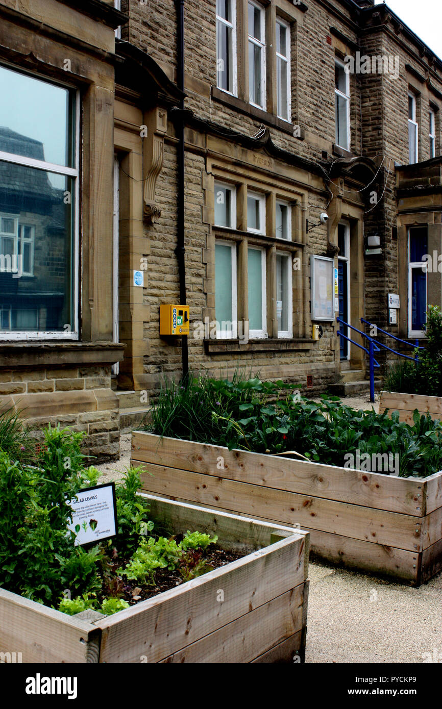 The salad and herb beds outside the Police Station in Todmorden, West Yorkshire, England Stock Photo