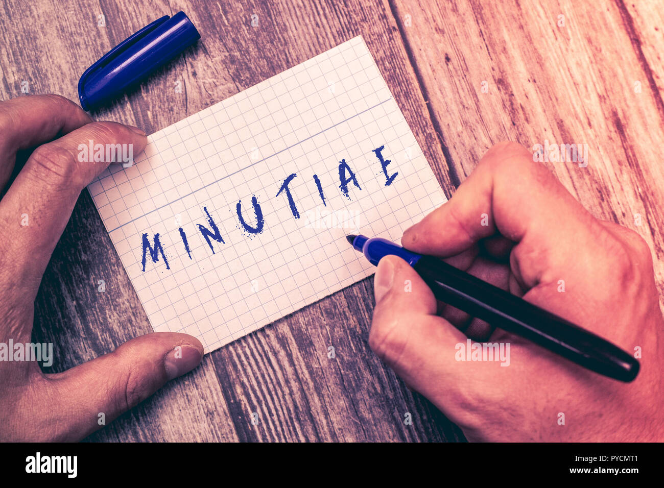 Conceptual hand writing showing Minutiae. Business photo showcasing small precise or trivial details of something product or service. Stock Photo