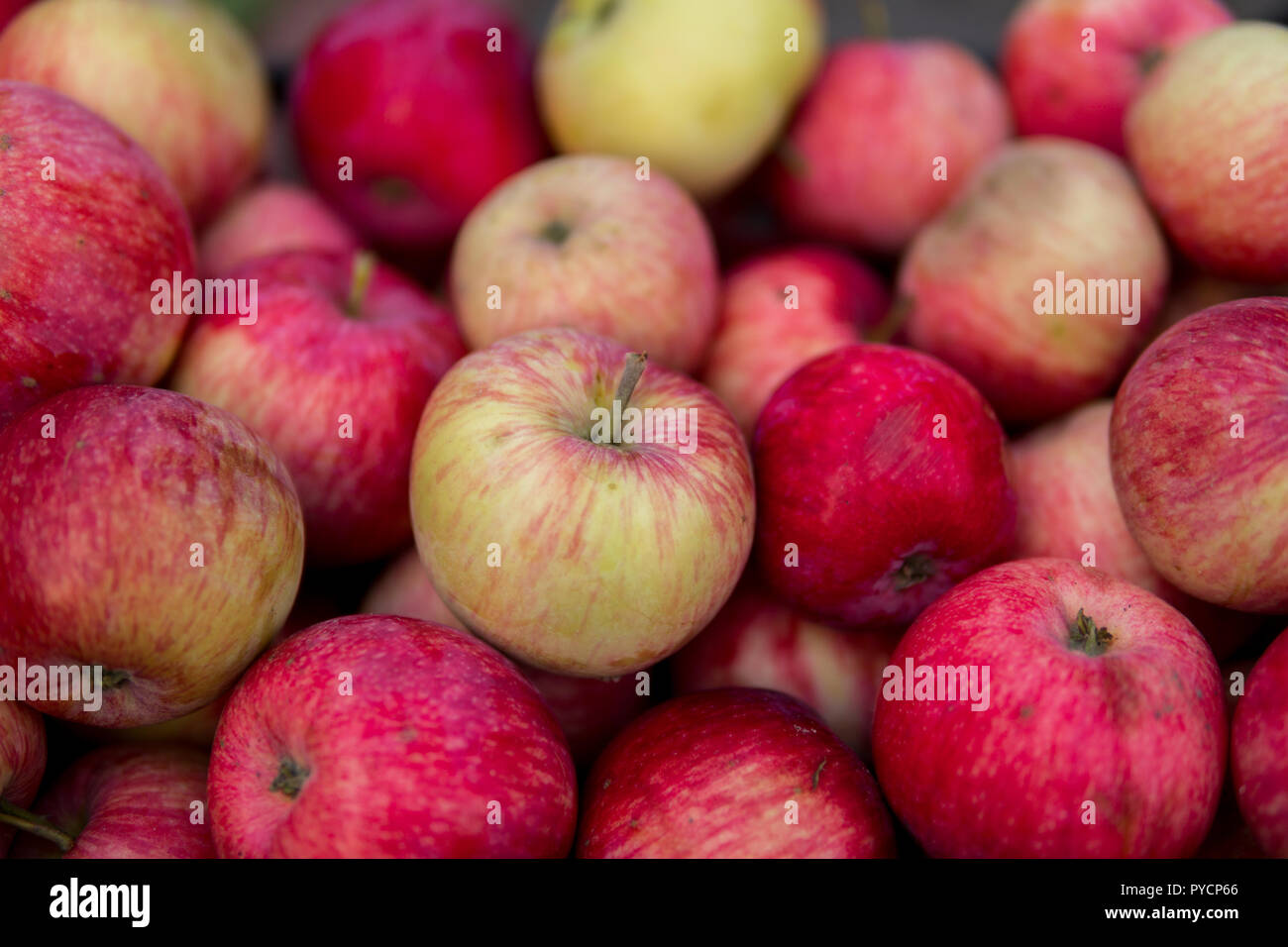 Number from red apples hi-res stock photography and images - Alamy